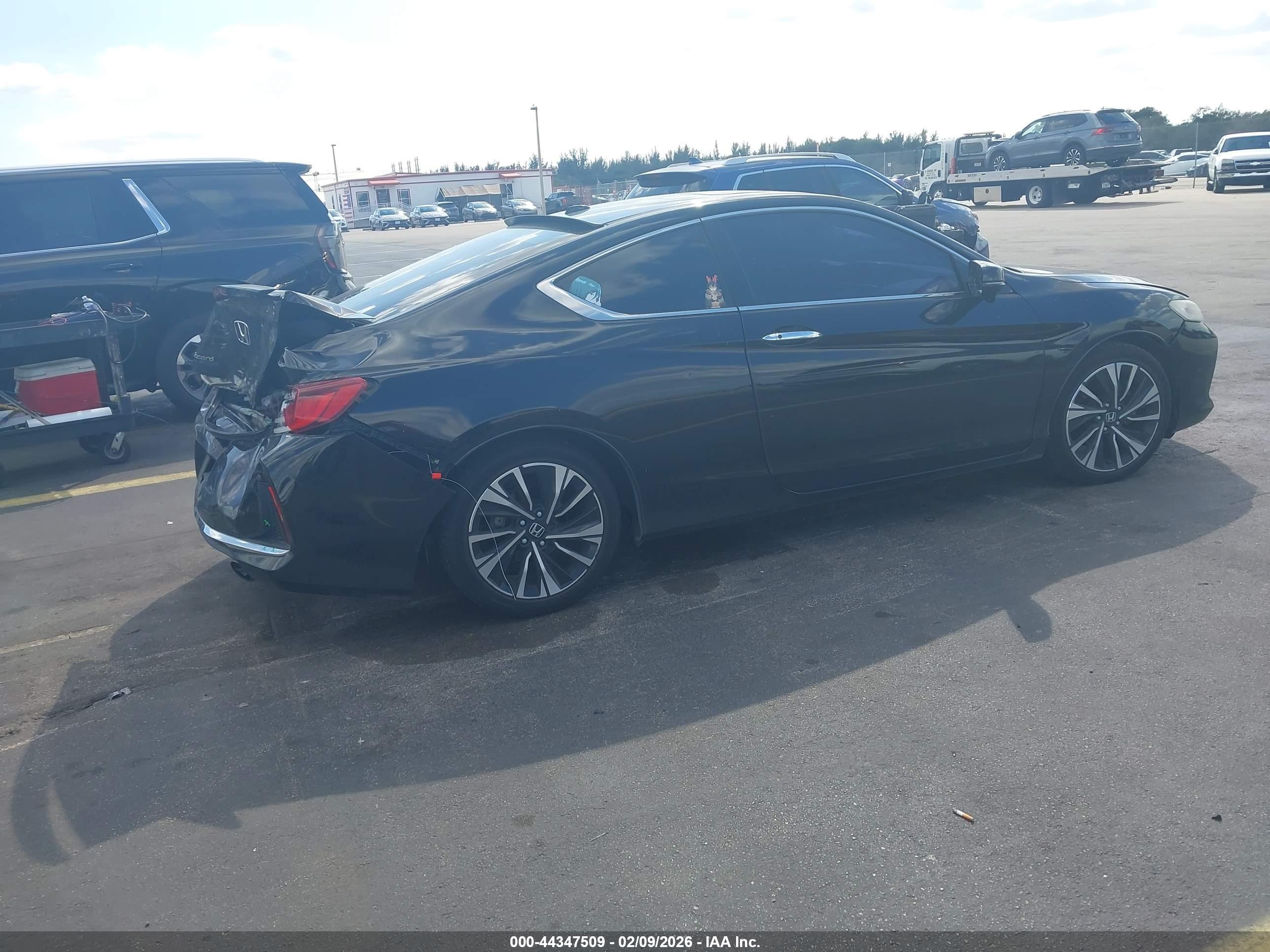 HONDA ACCORD image 4