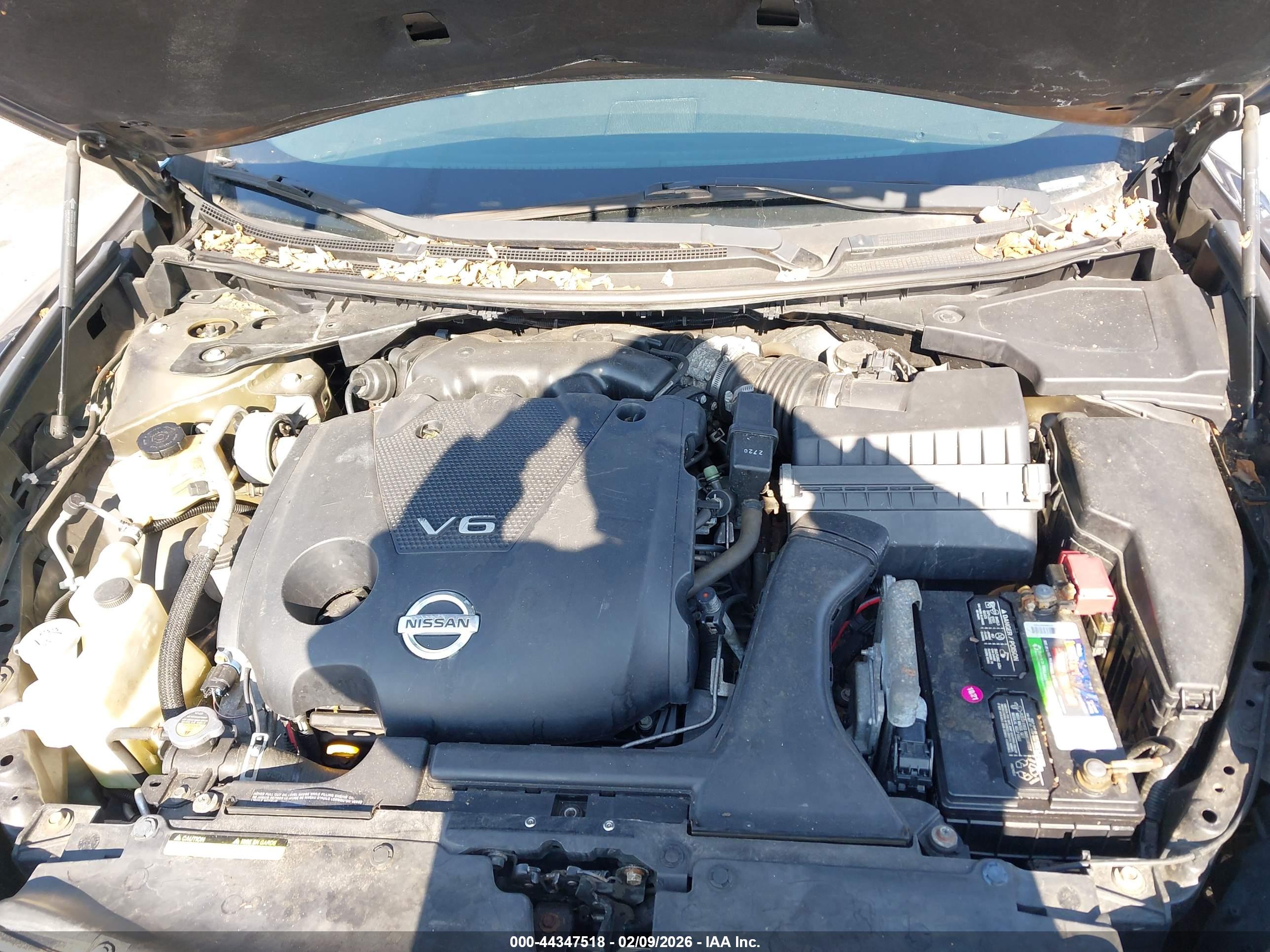 NISSAN MAXIMA image 10