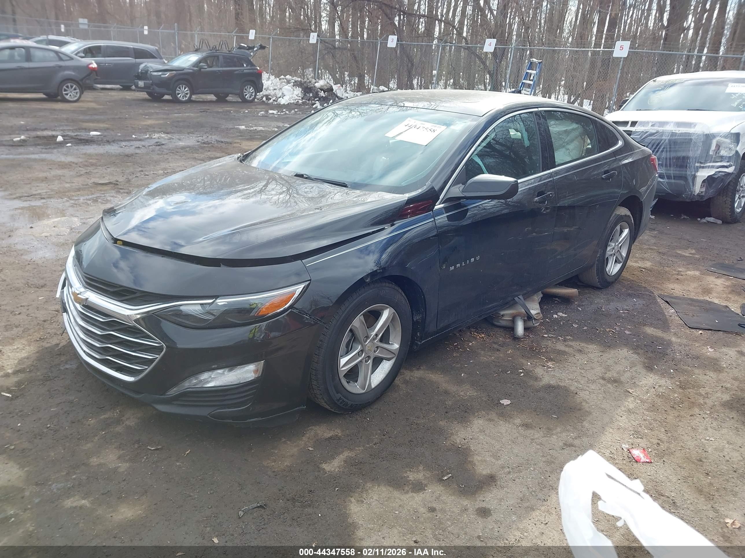 CHEVROLET MALIBU image 2