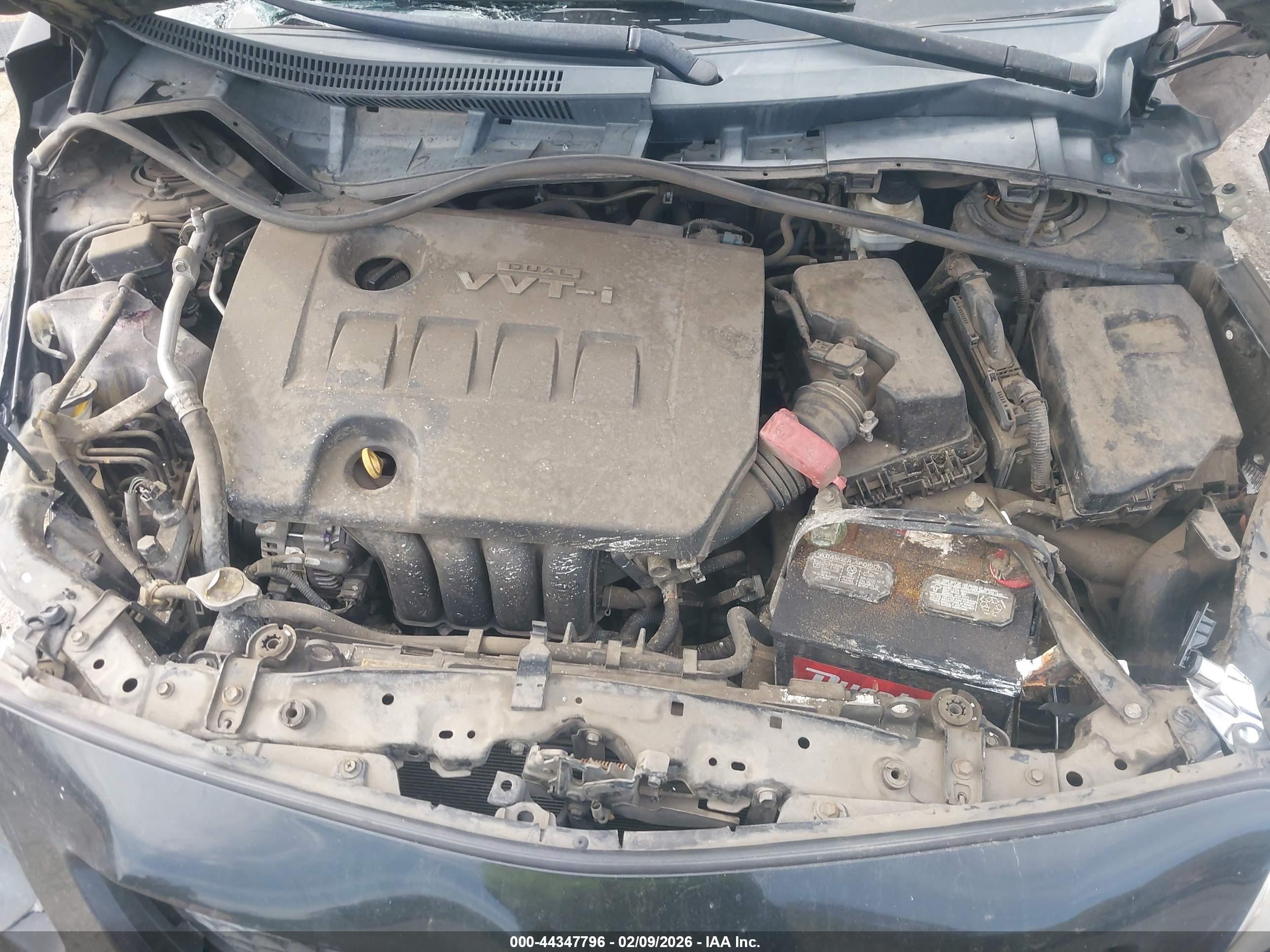 TOYOTA COROLLA image 10
