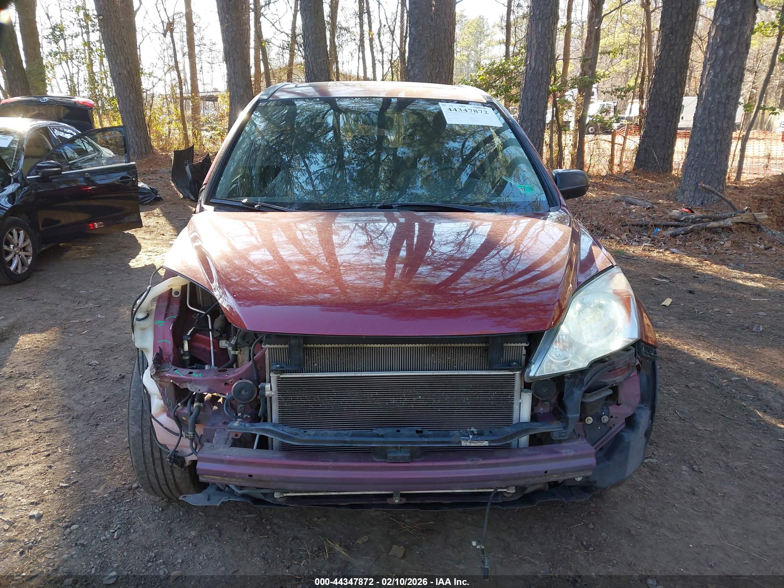 HONDA CR-V image 6