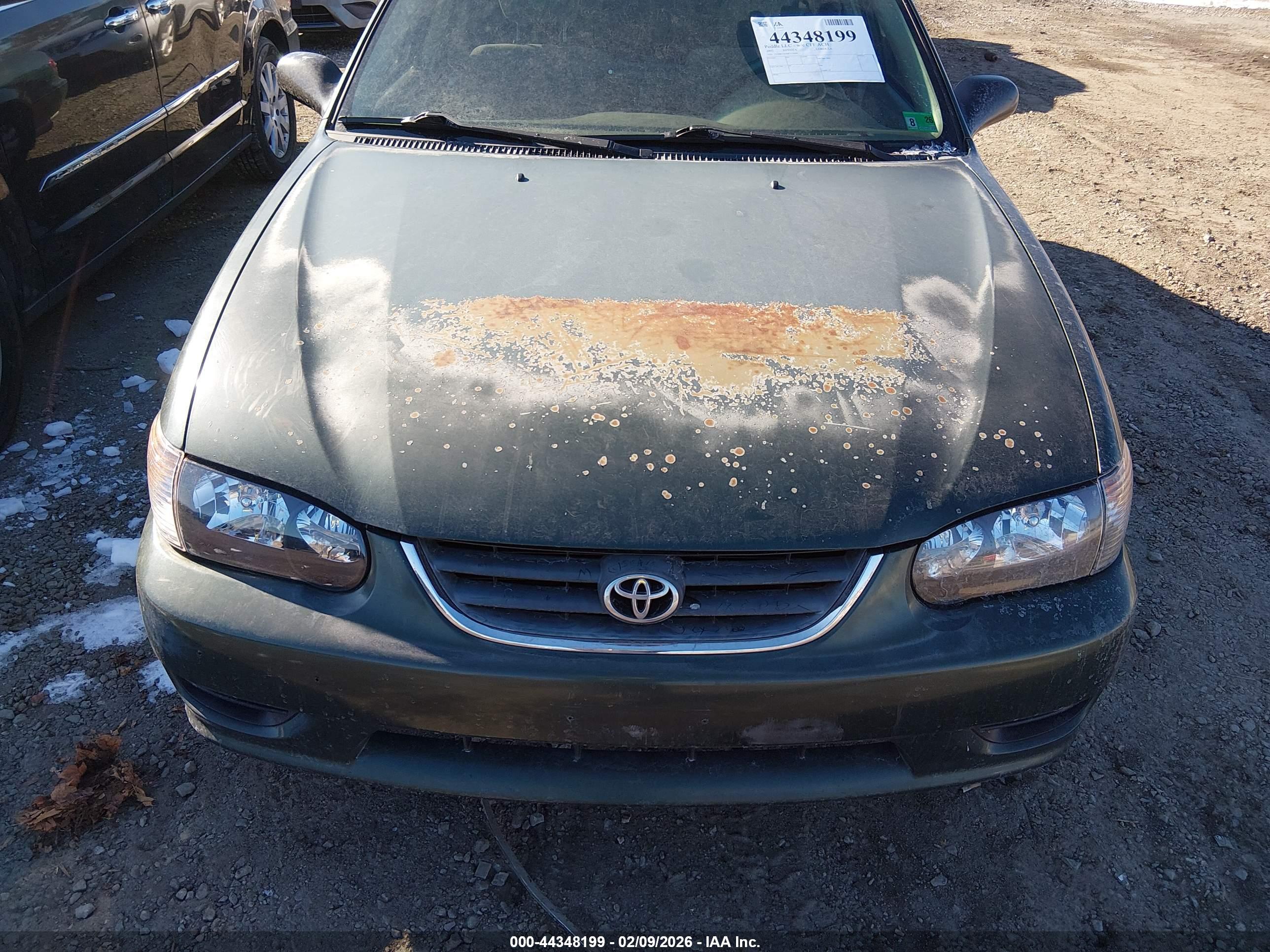 TOYOTA COROLLA image 6