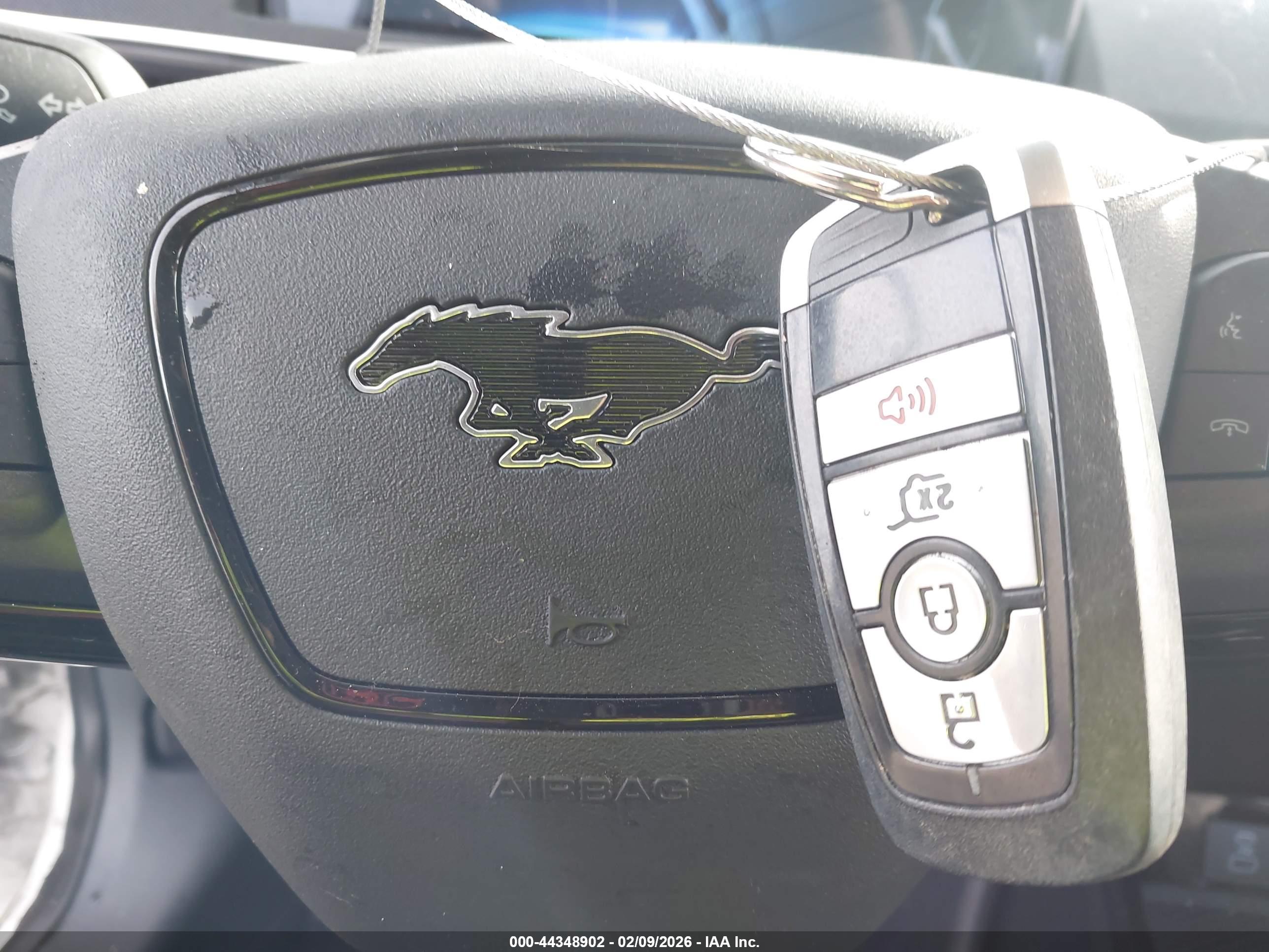 FORD MUSTANG image 11