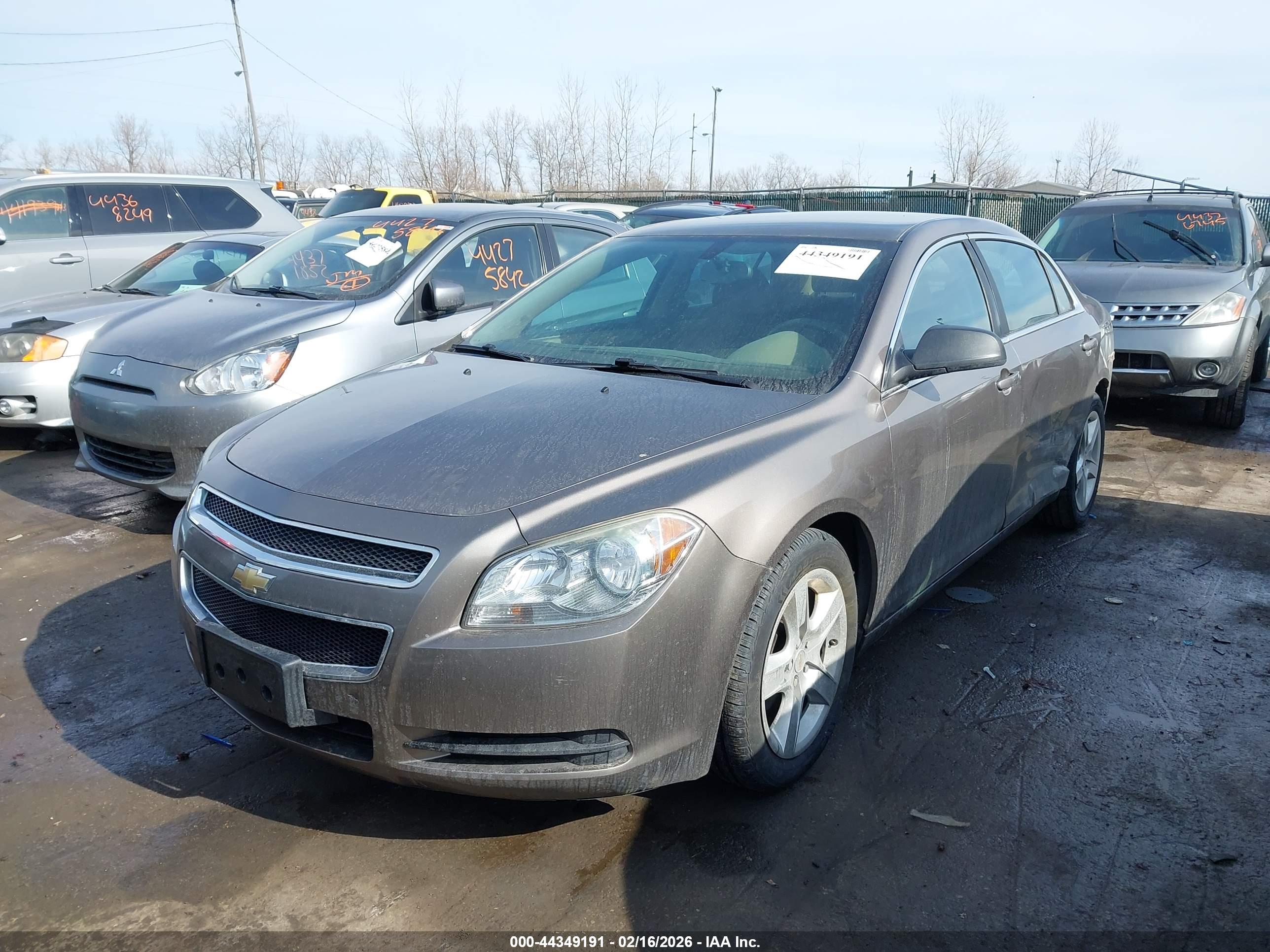 CHEVROLET MALIBU image 2