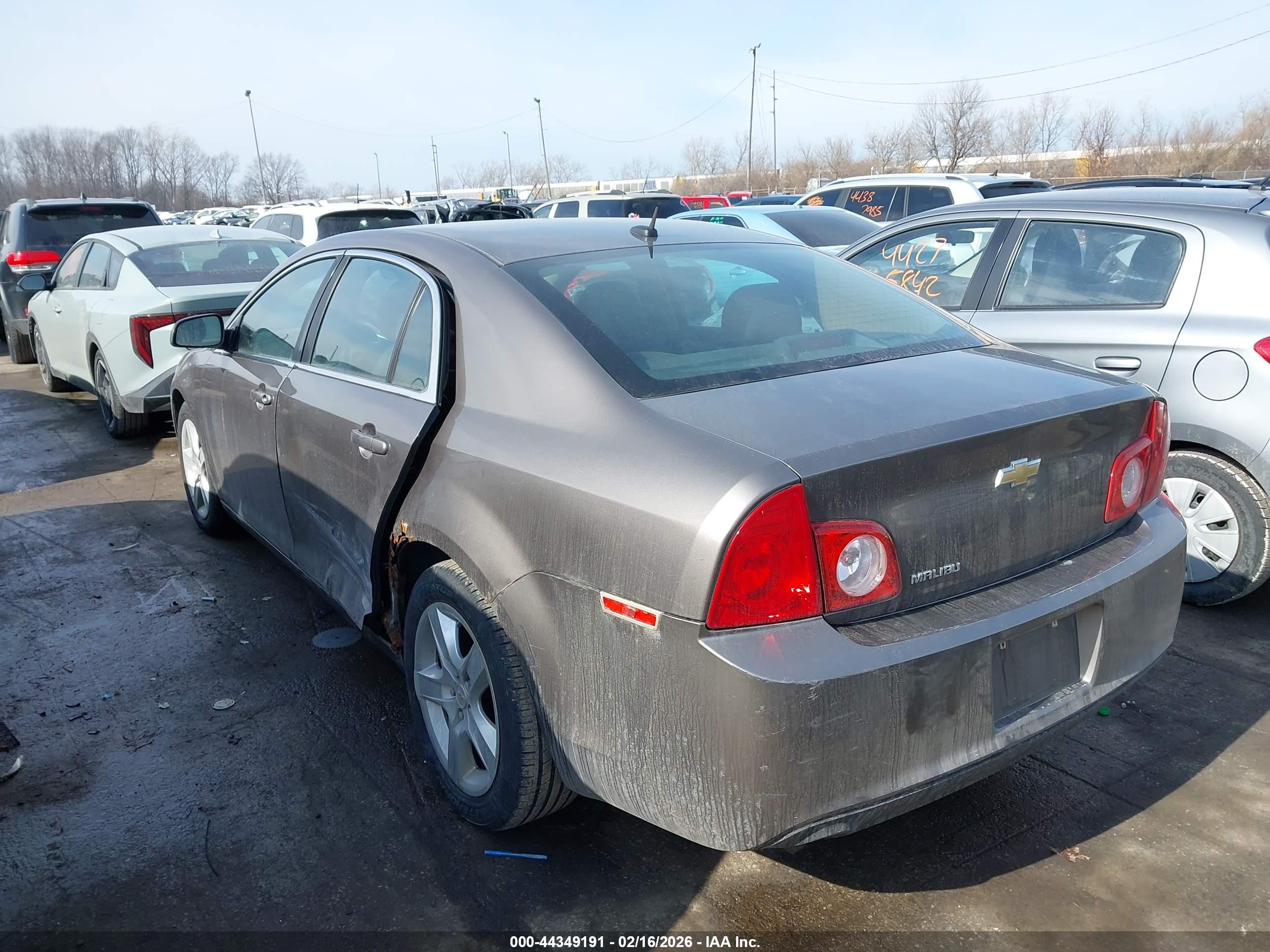CHEVROLET MALIBU image 3