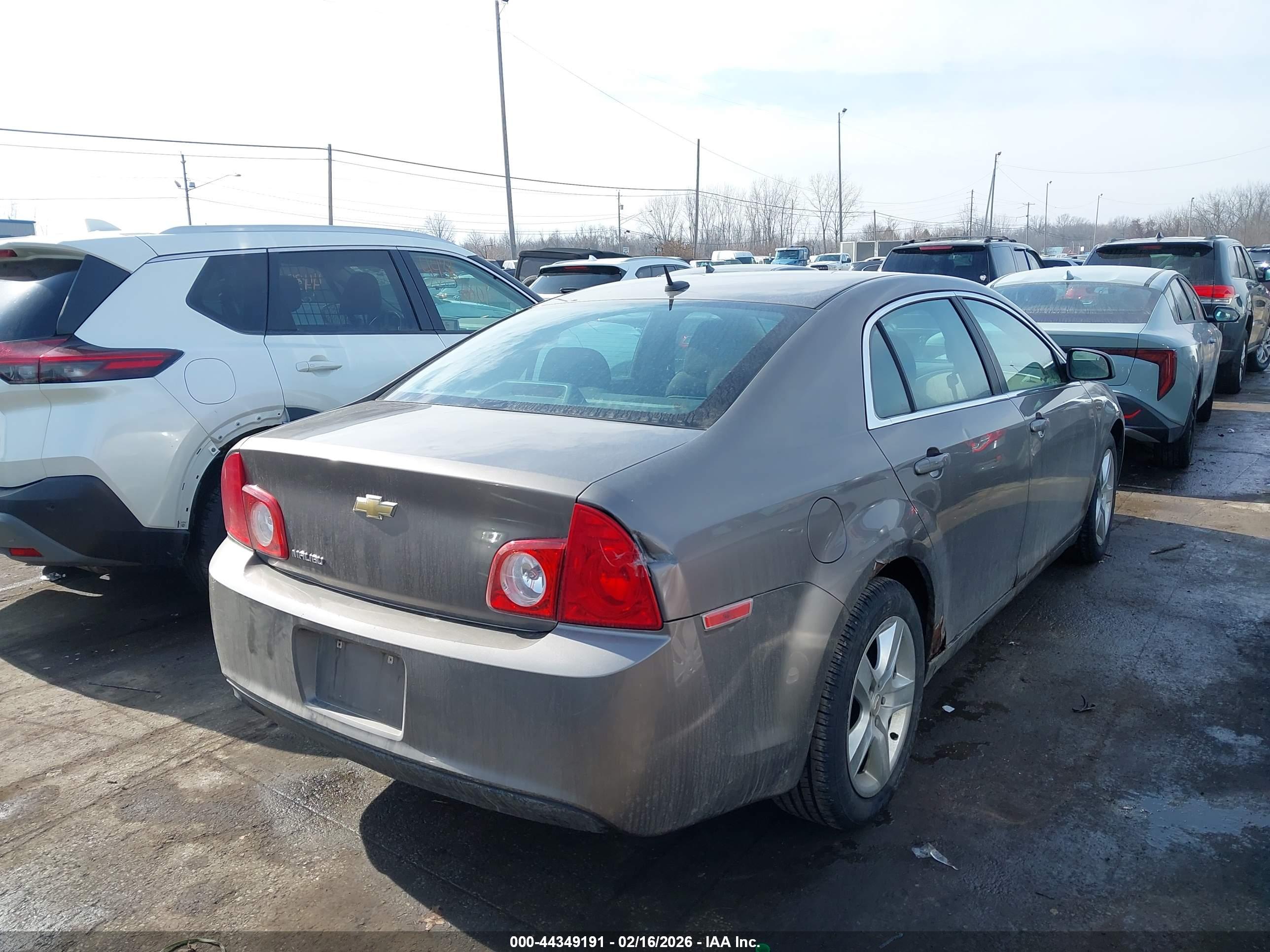 CHEVROLET MALIBU image 4