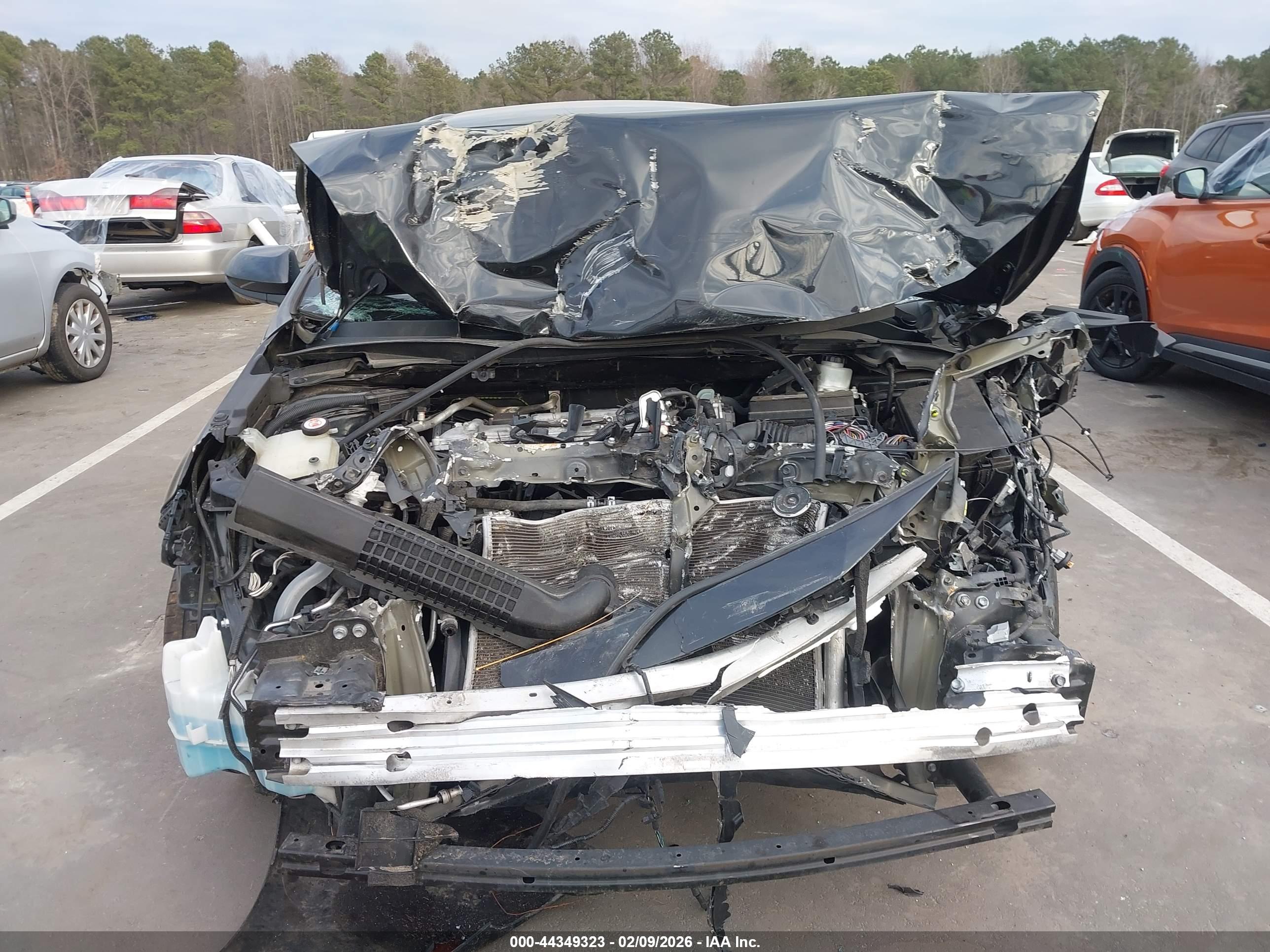 TOYOTA COROLLA image 6