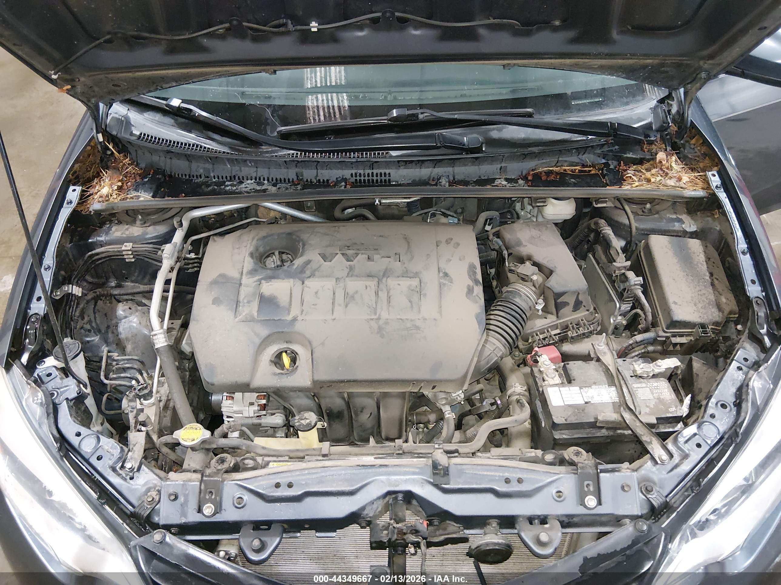 TOYOTA COROLLA image 10
