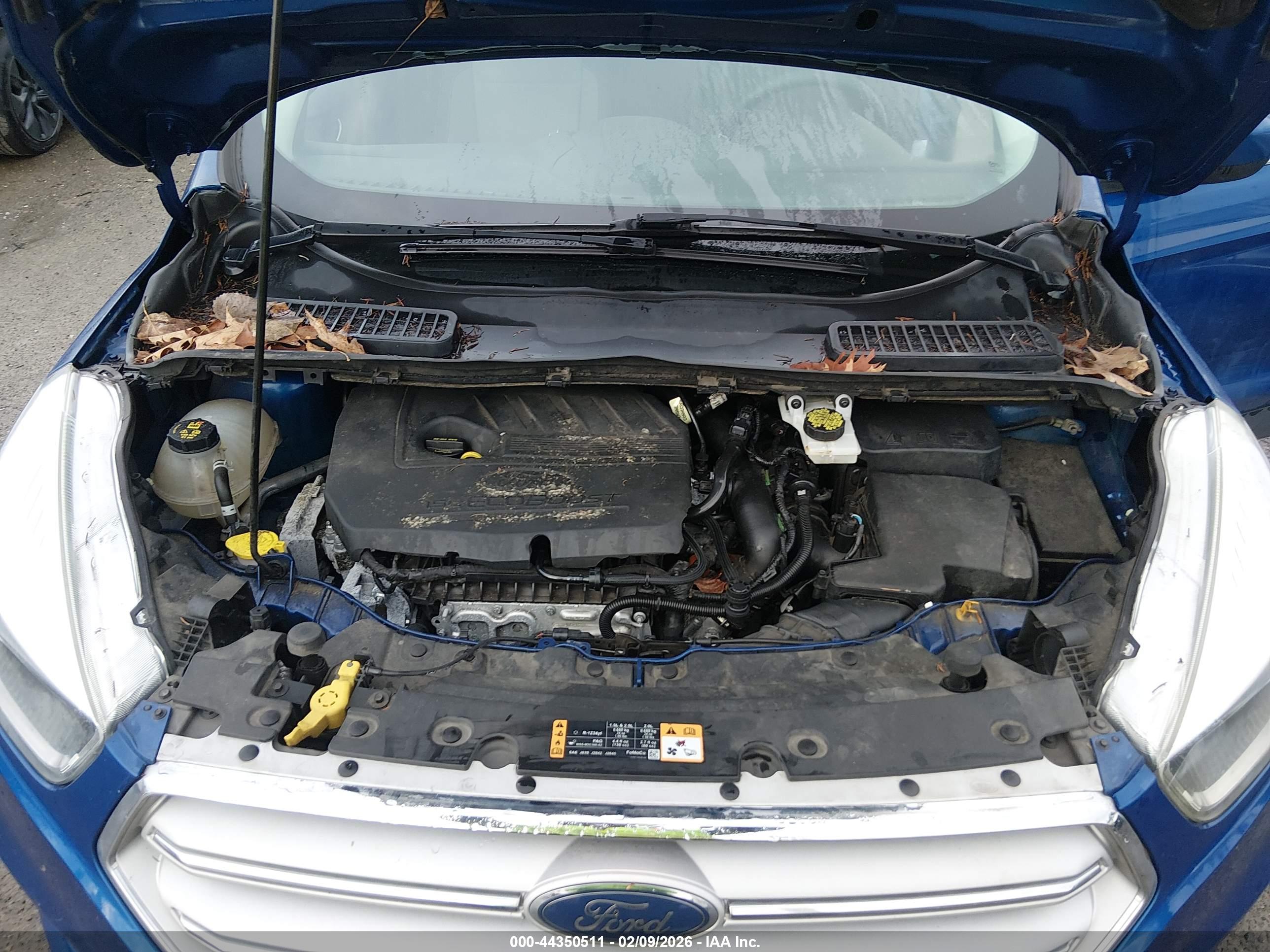 FORD ESCAPE image 10