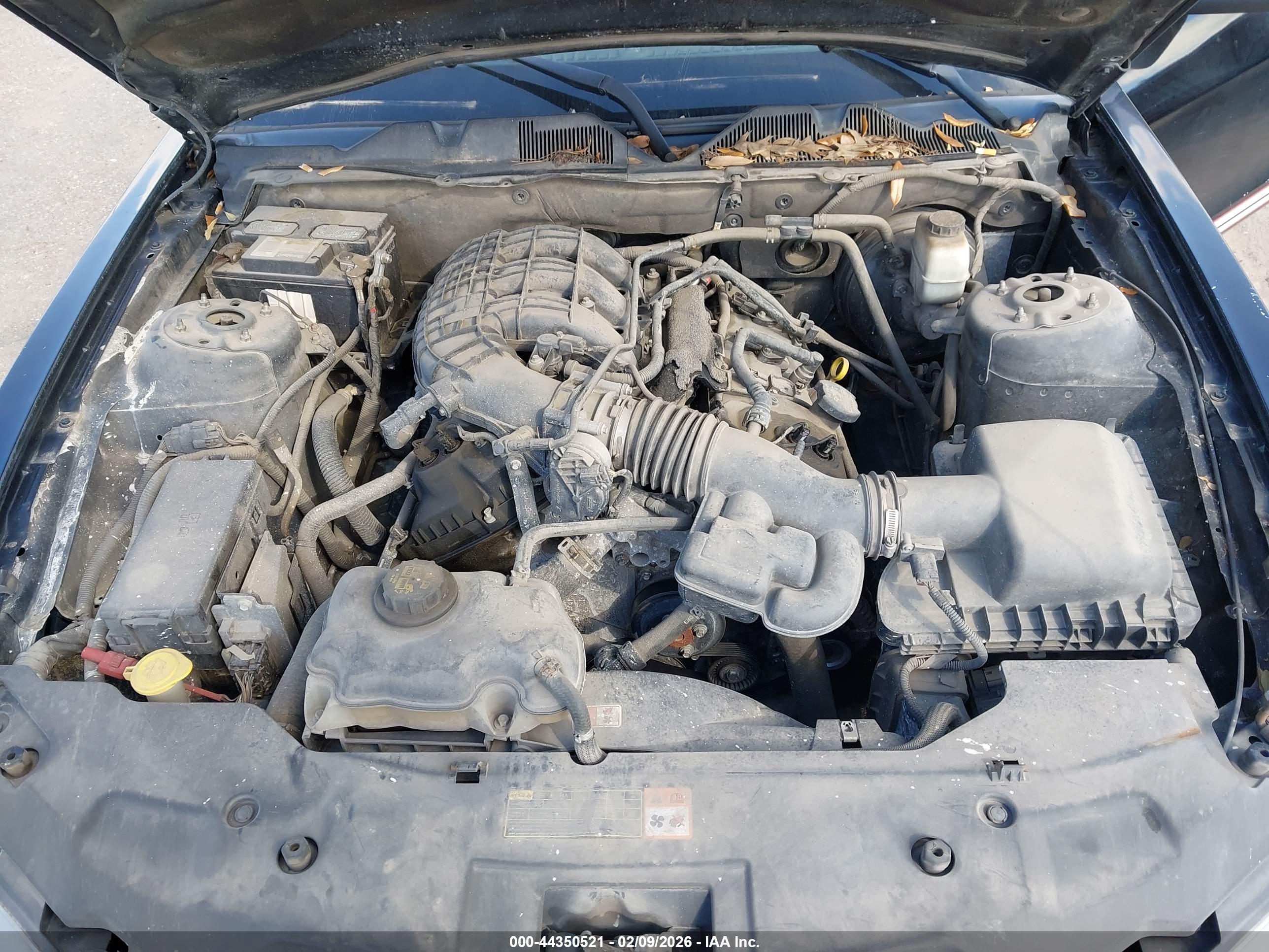 FORD MUSTANG image 10
