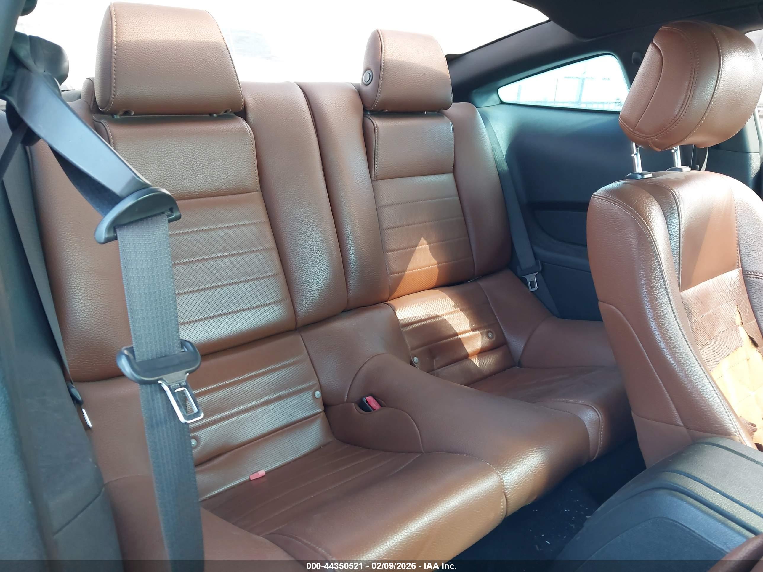 FORD MUSTANG image 8