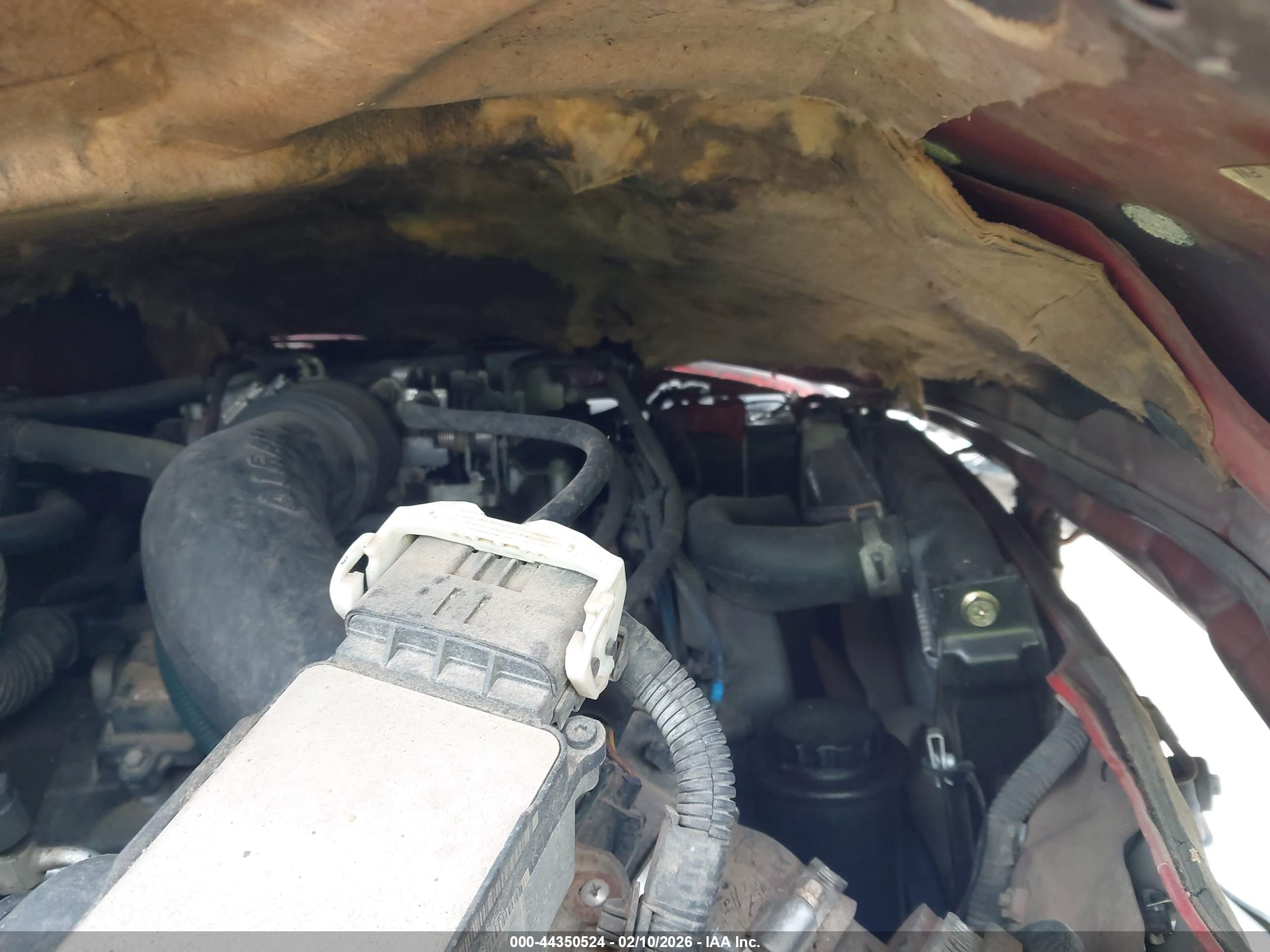 TOYOTA TACOMA image 10