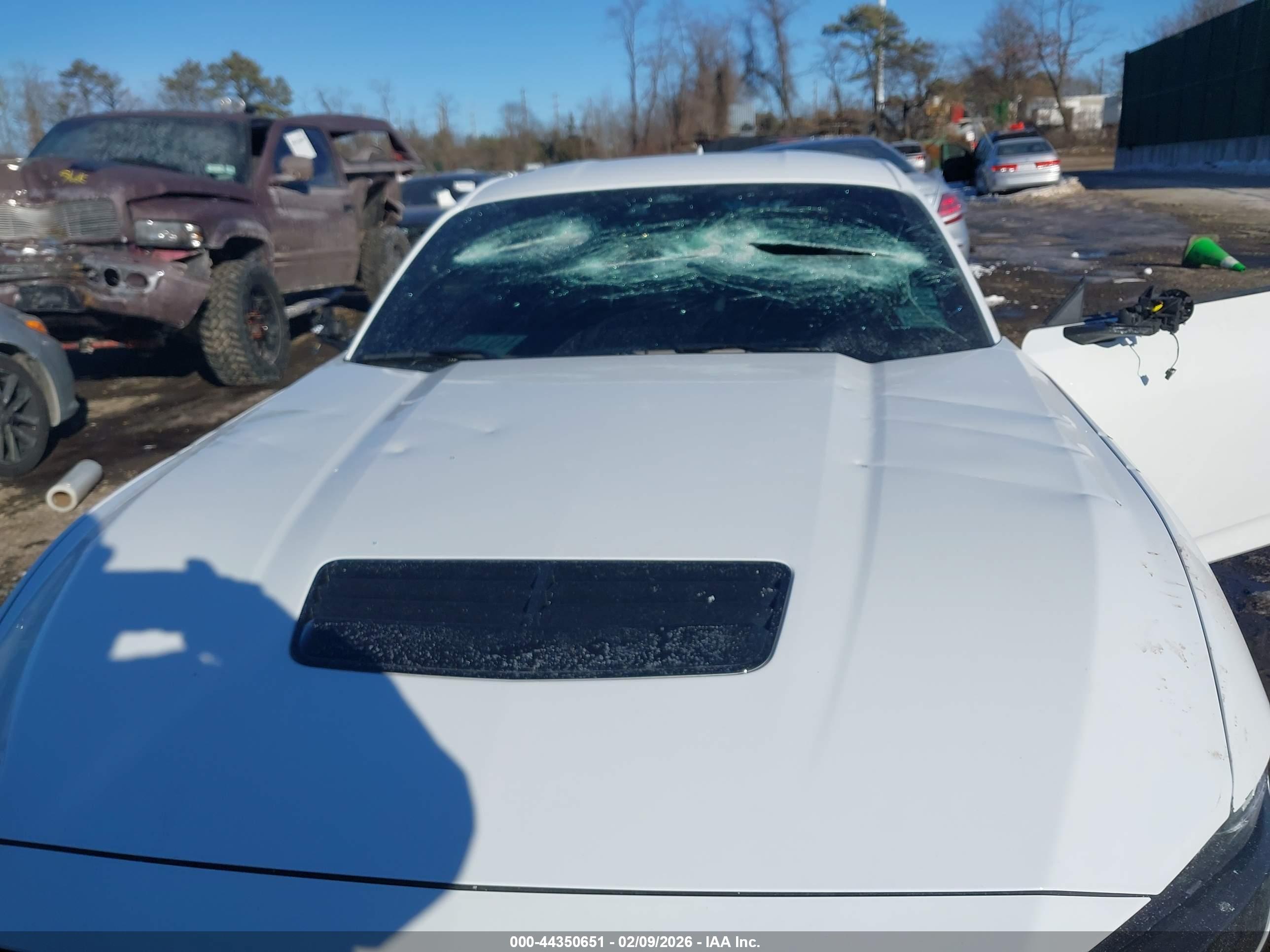 FORD MUSTANG image 6