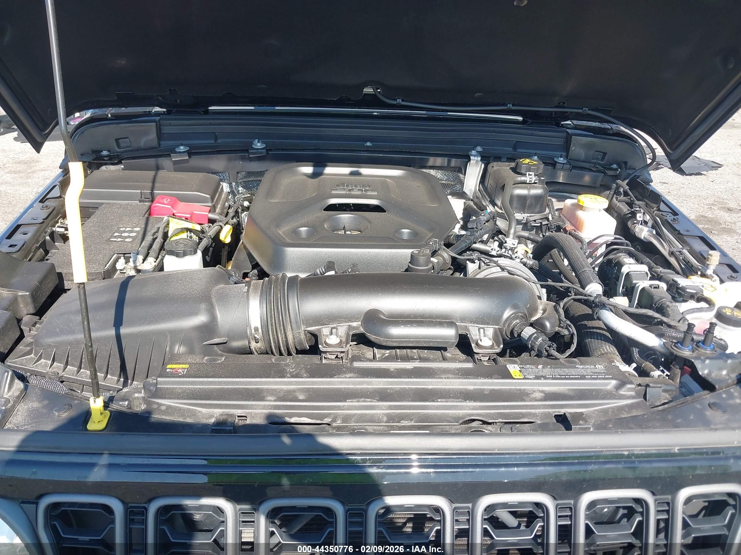 JEEP WRANGLER image 10