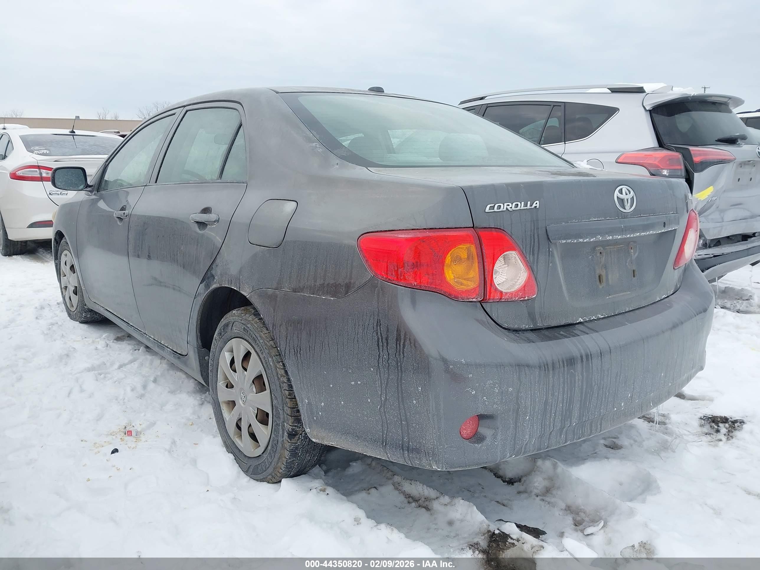 TOYOTA COROLLA image 3