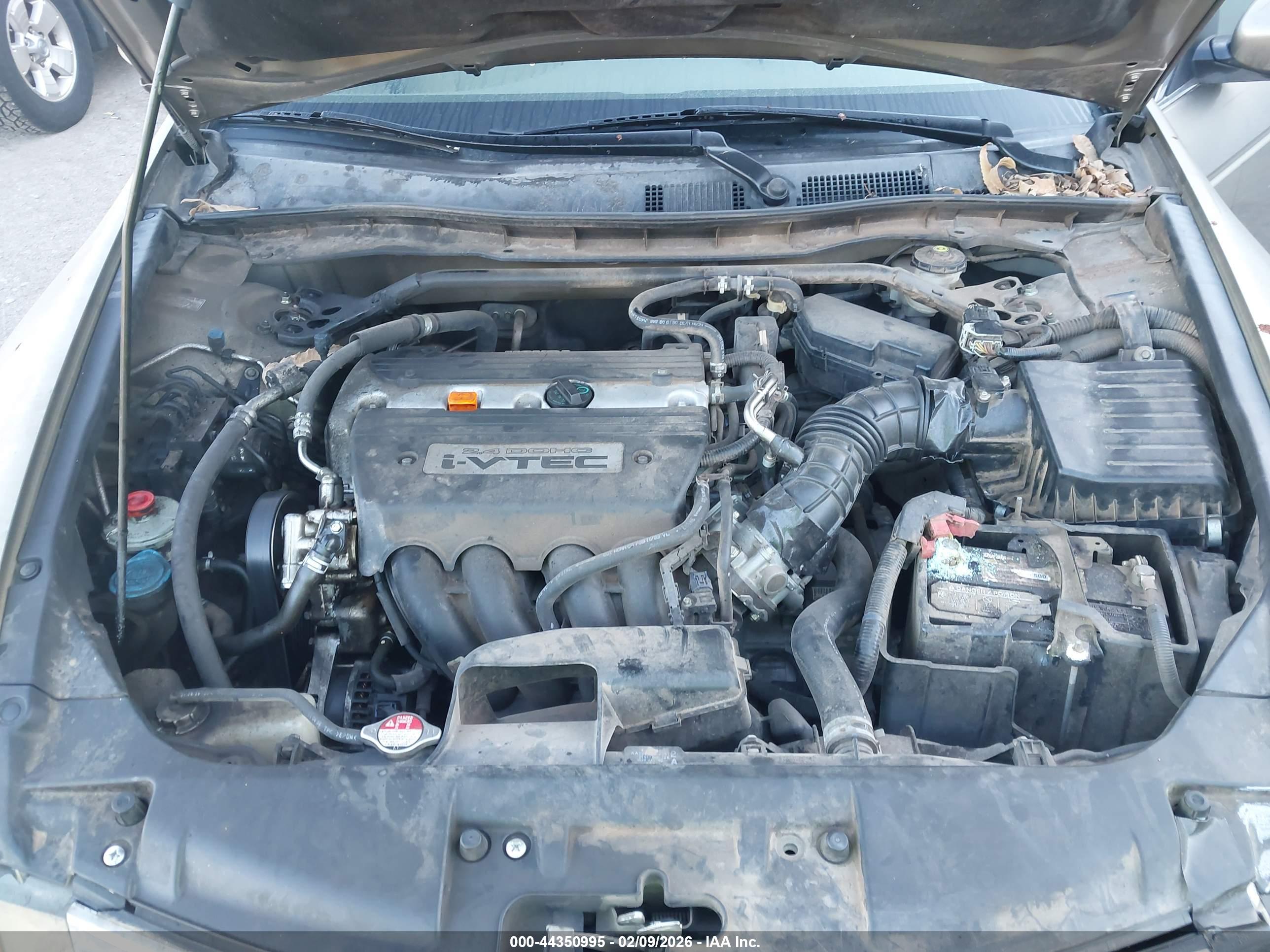 HONDA ACCORD image 10