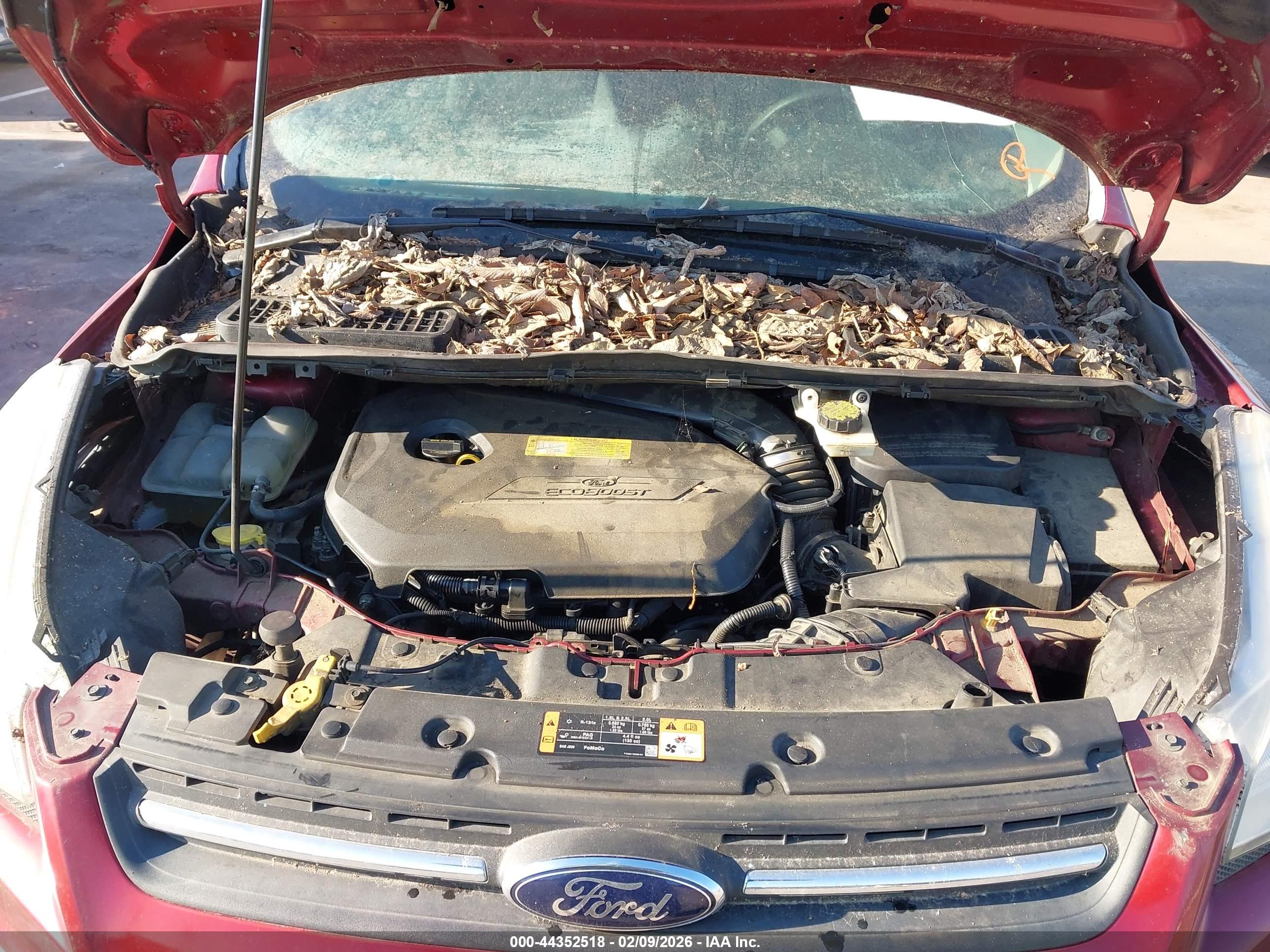FORD ESCAPE image 10