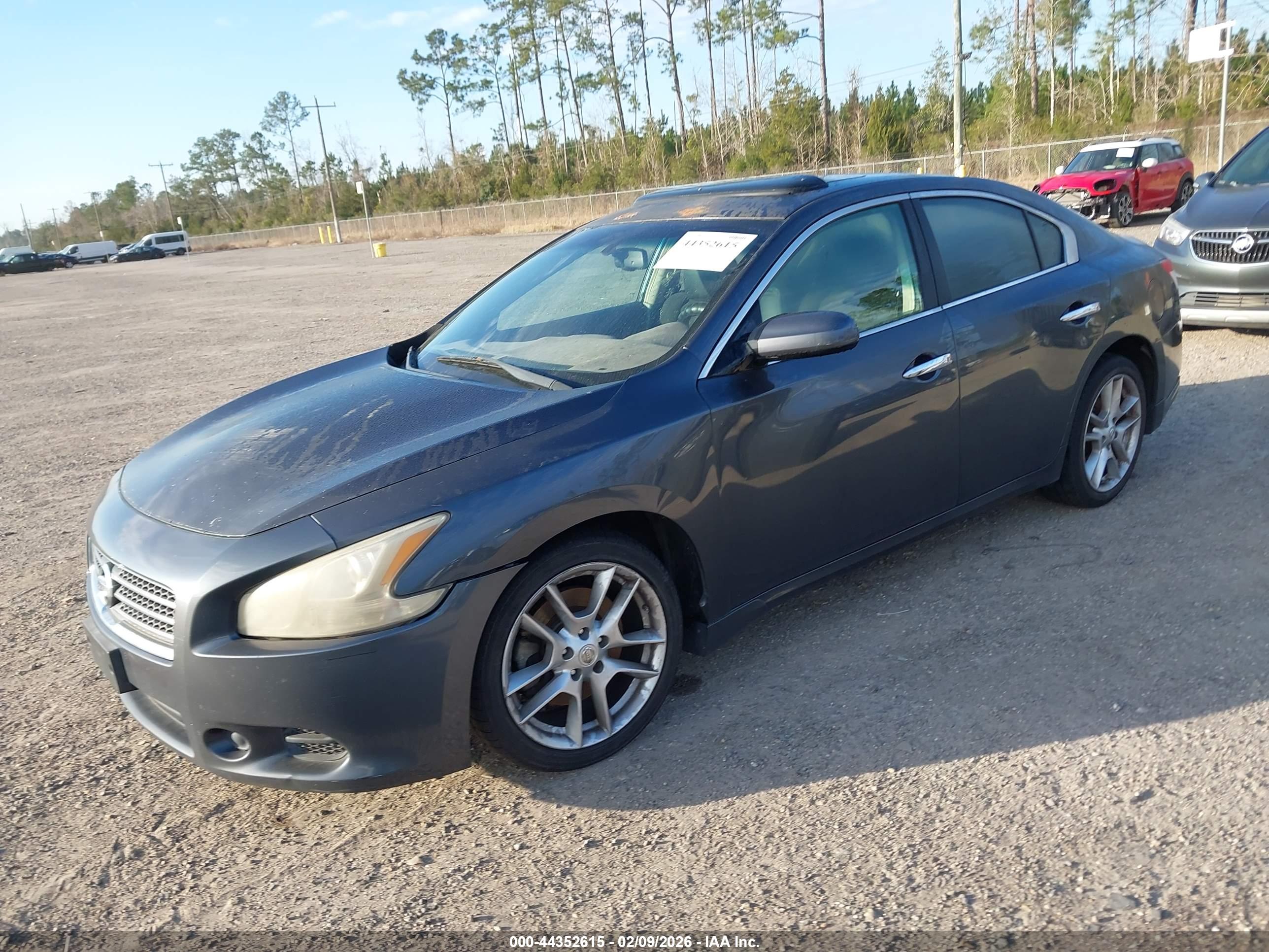 NISSAN MAXIMA image 2