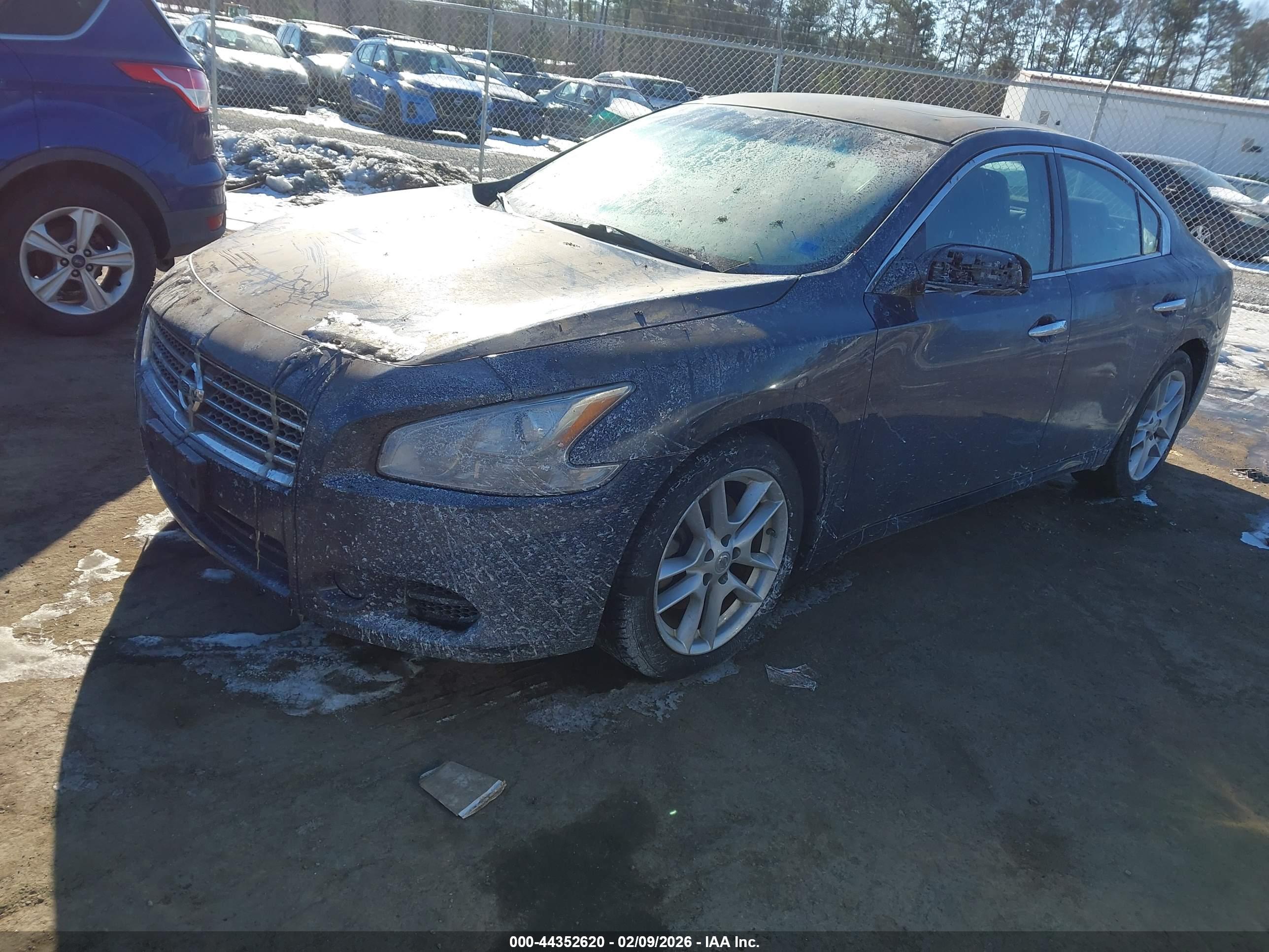 NISSAN MAXIMA image 2
