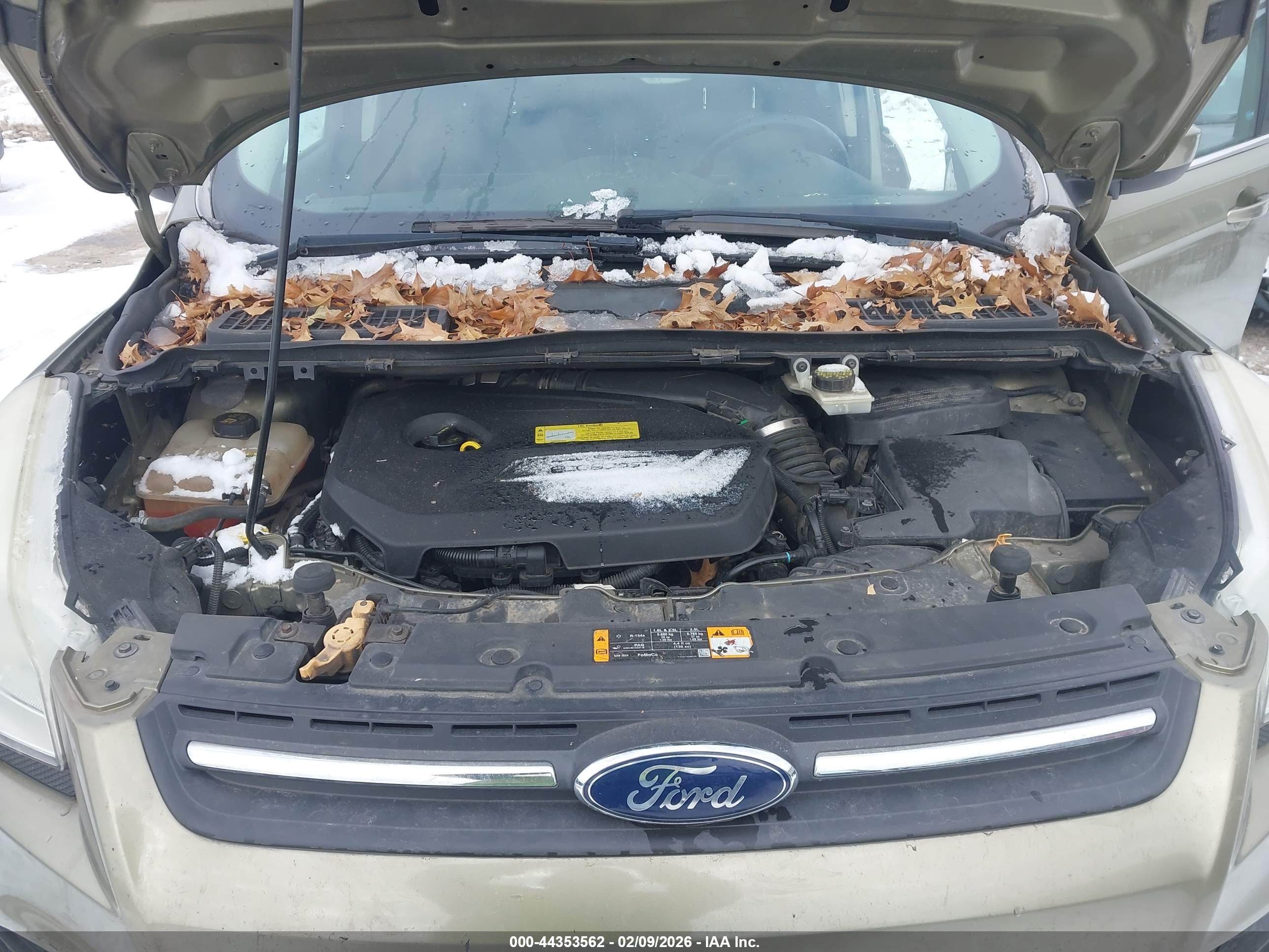 FORD ESCAPE image 10