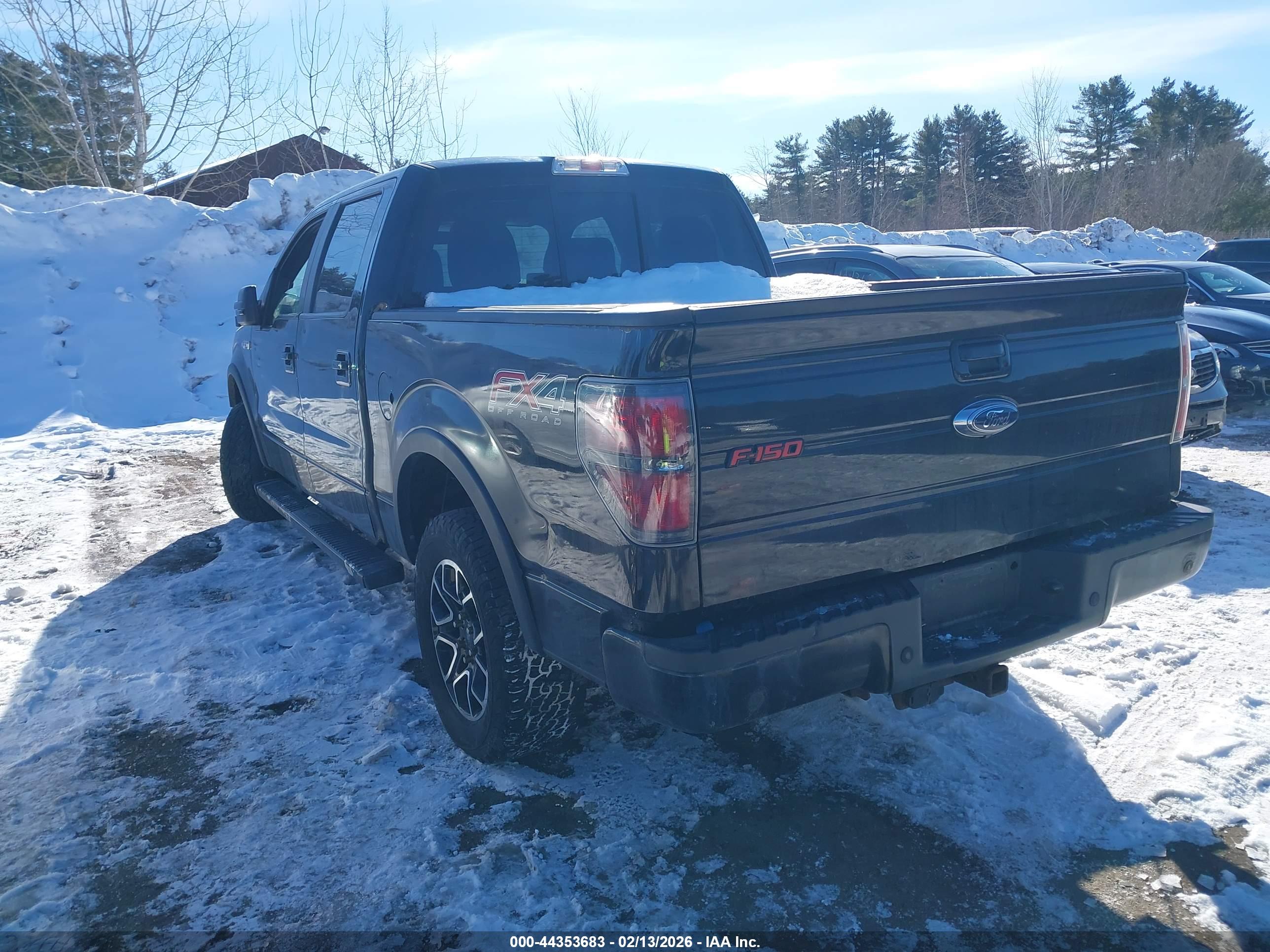 FORD F-150 image 3
