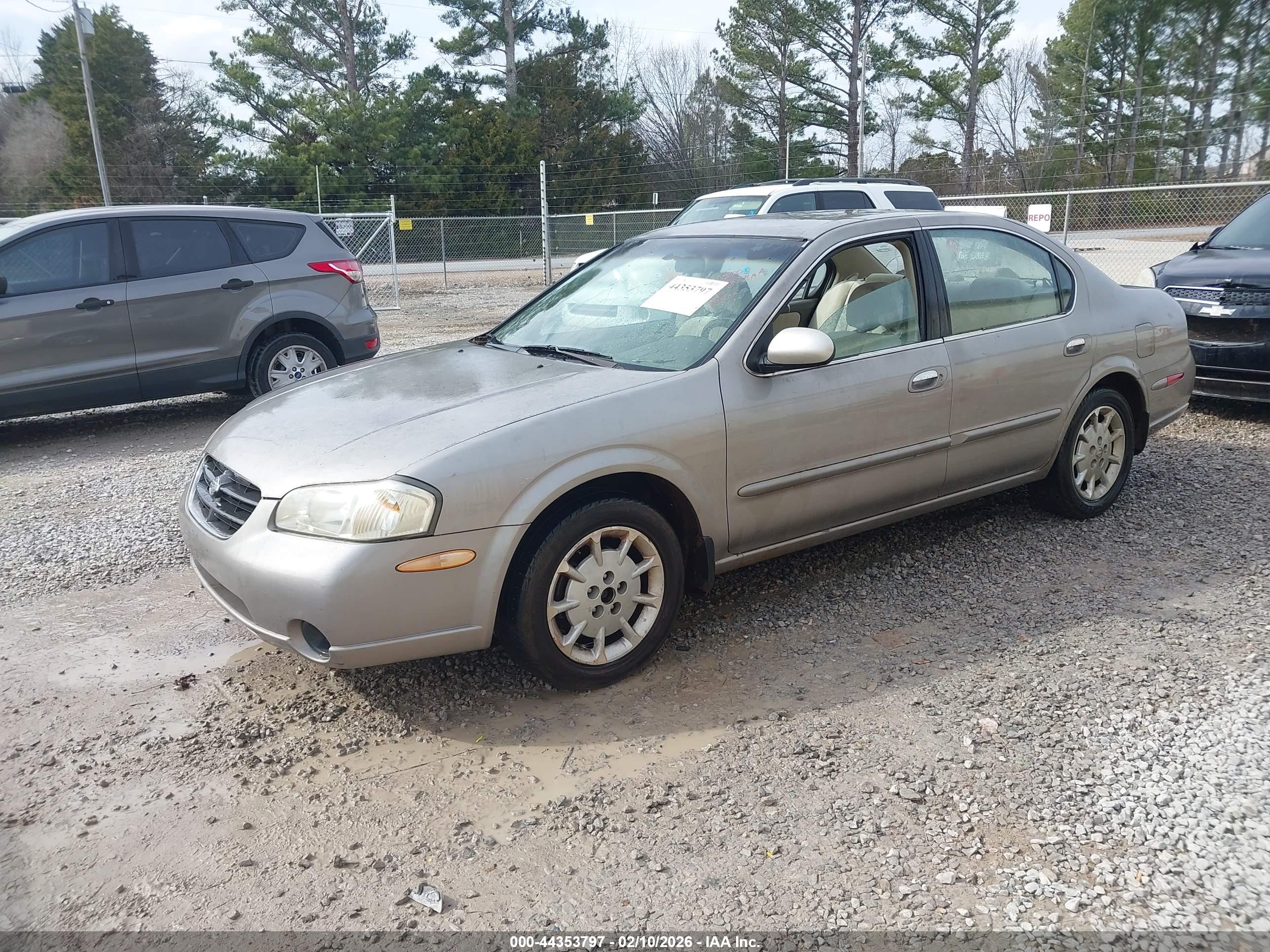 NISSAN MAXIMA image 2