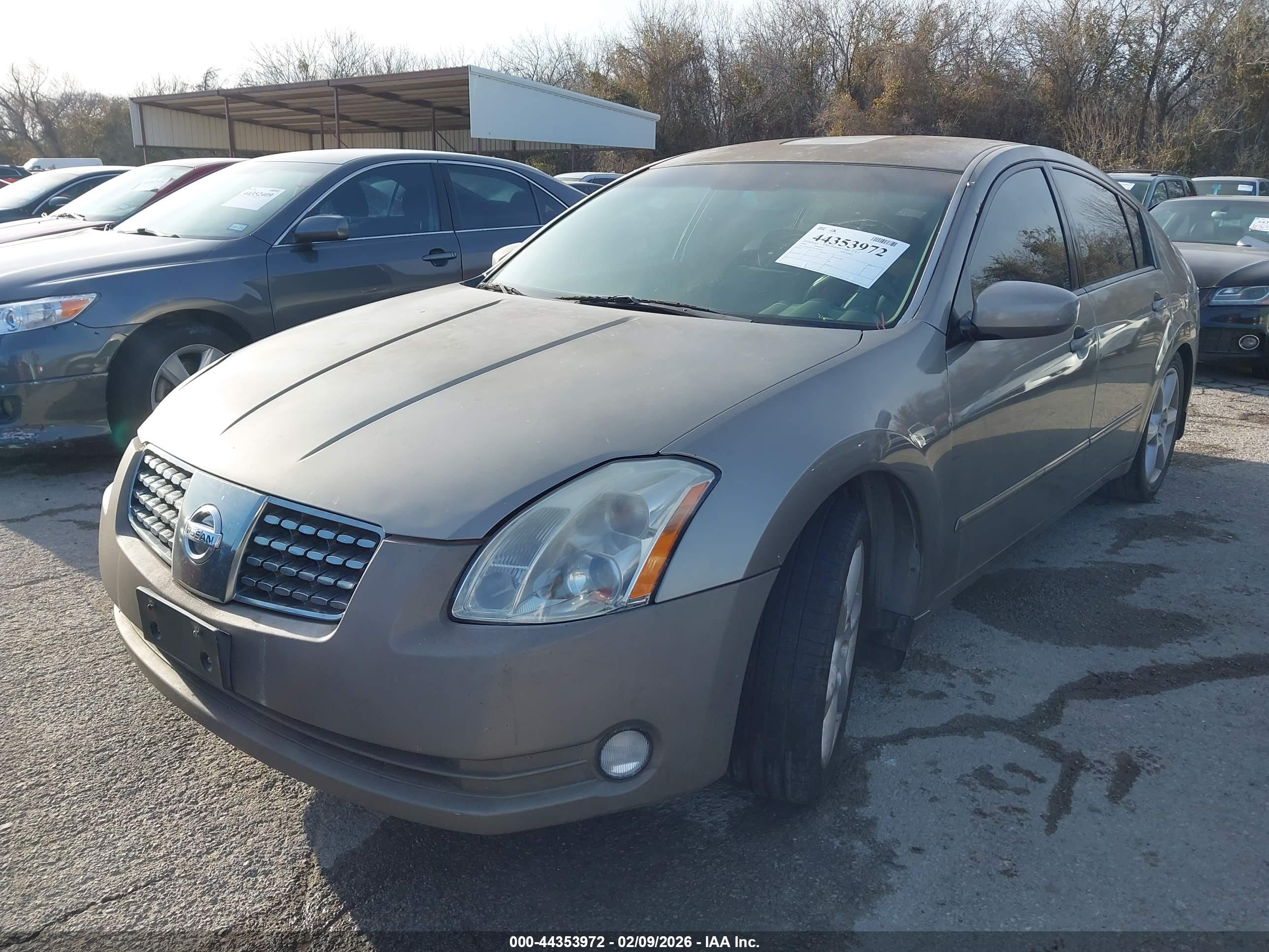 NISSAN MAXIMA image 2