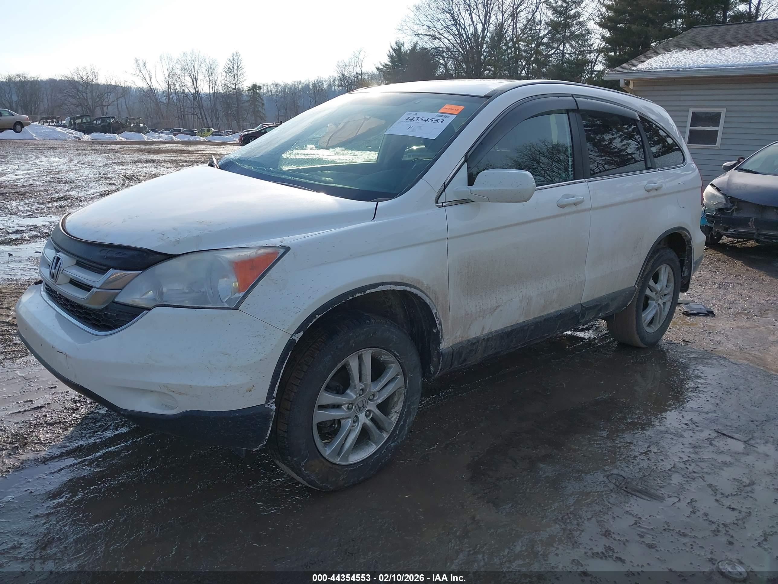 HONDA CR-V image 2