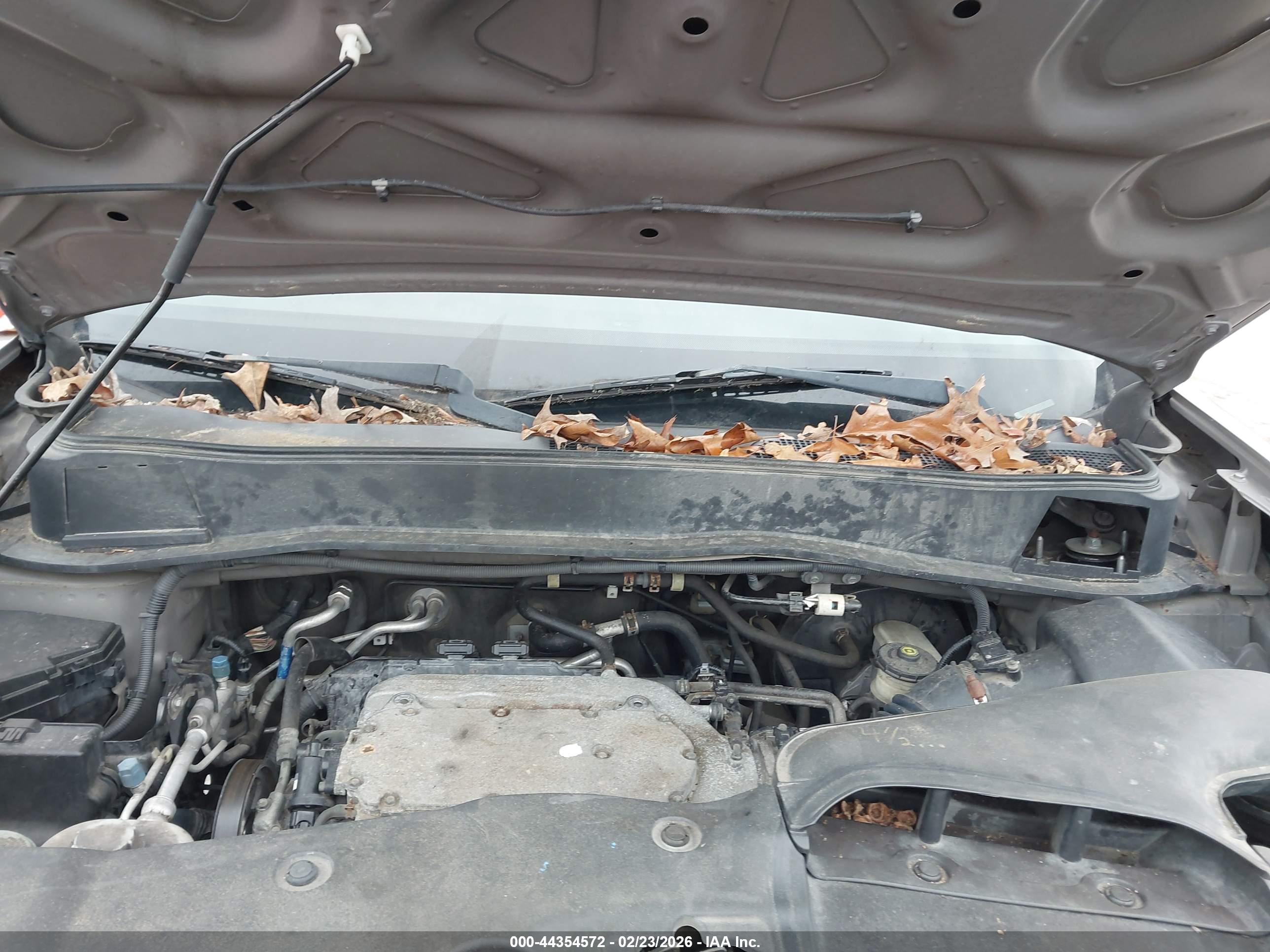 HONDA PILOT image 10