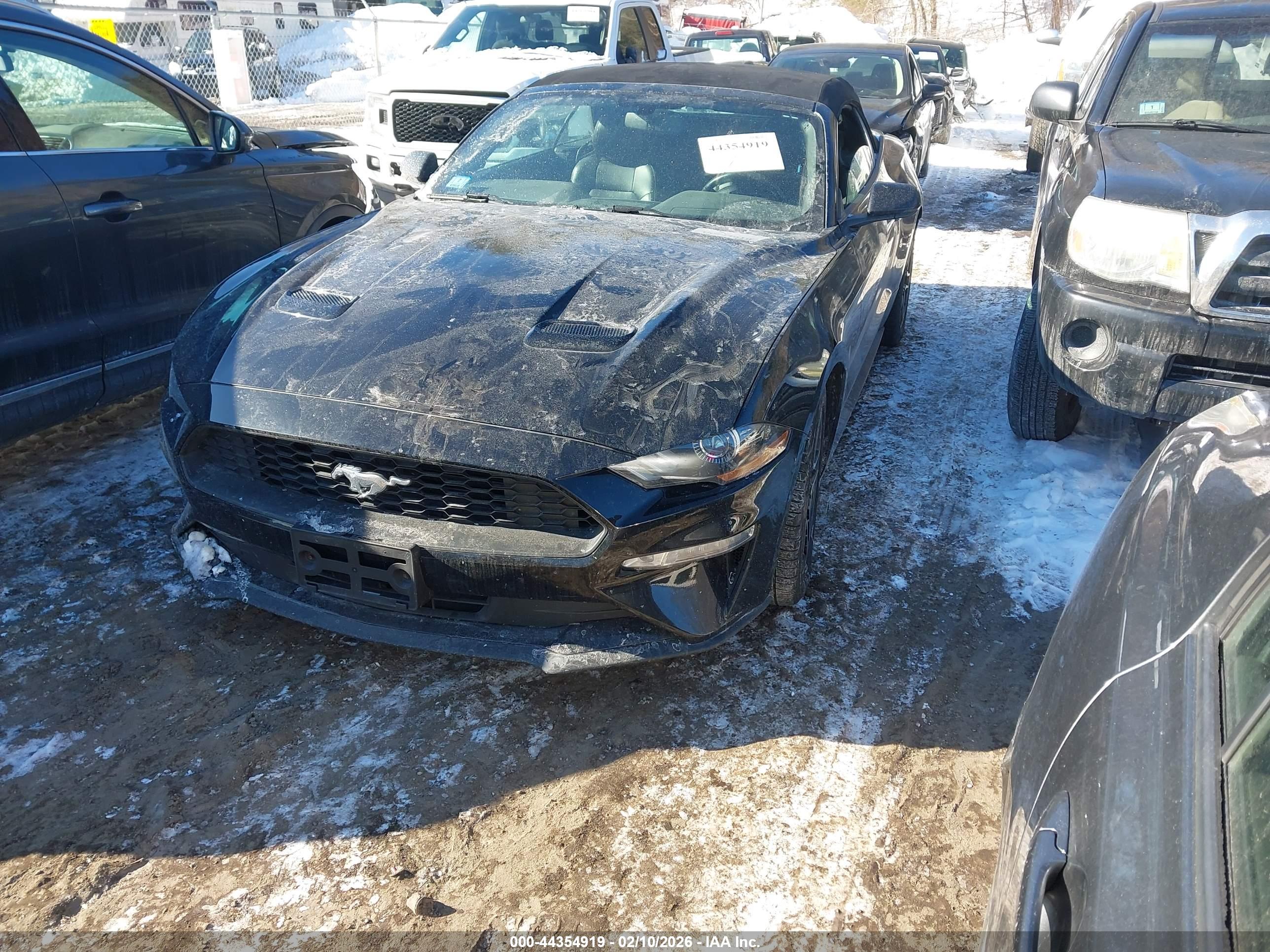 FORD MUSTANG image 2