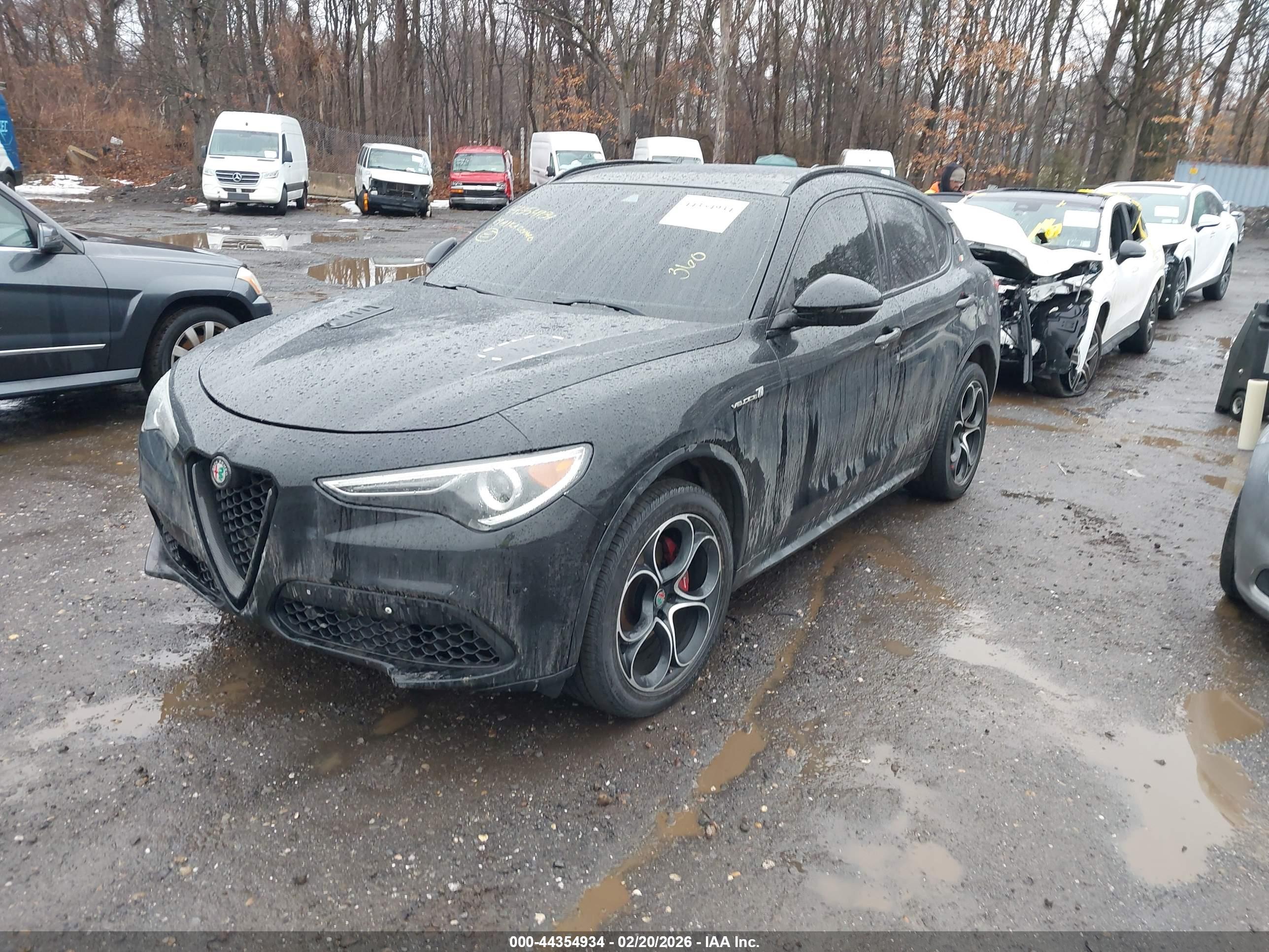 ALFA ROMEO image 2