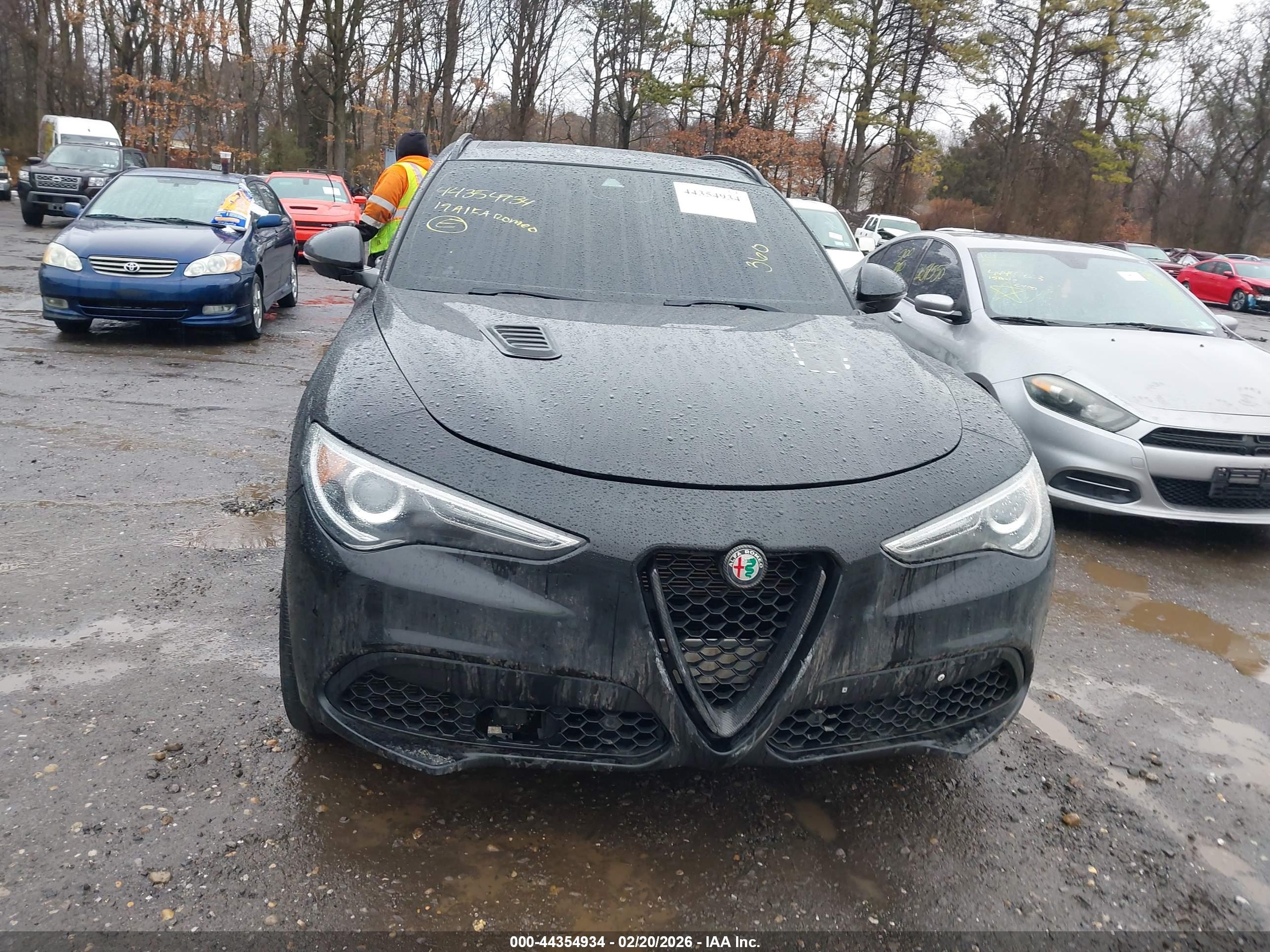 ALFA ROMEO image 6