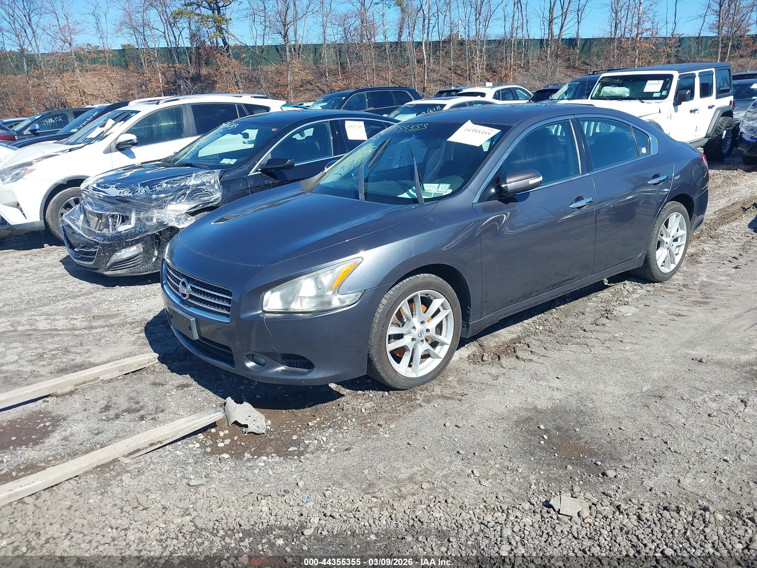 NISSAN MAXIMA image 2
