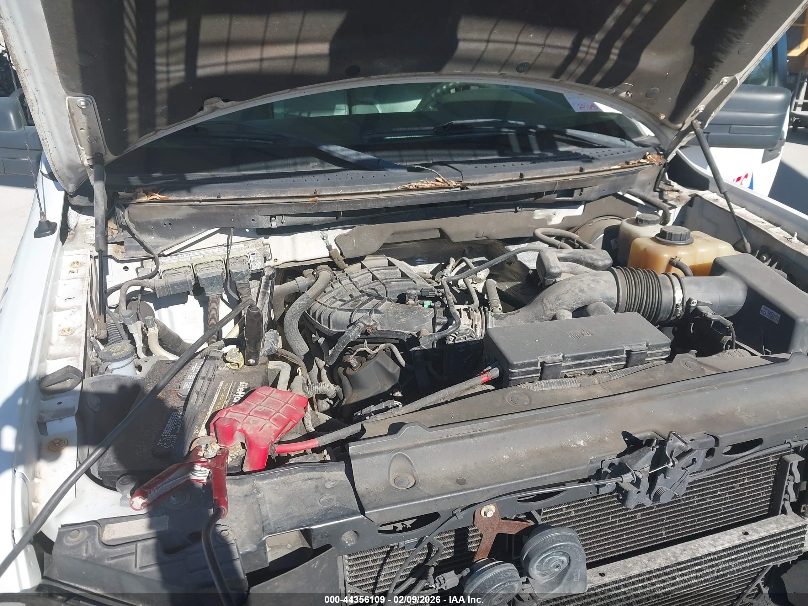 FORD F-150 image 10