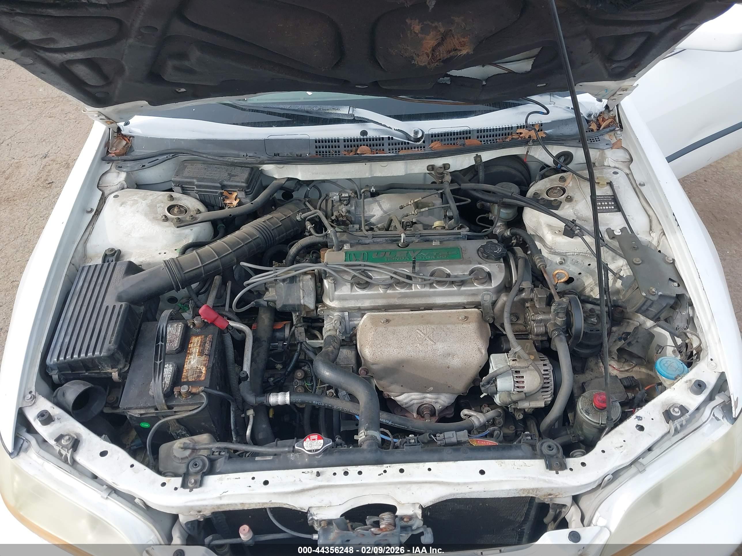 HONDA ACCORD image 10
