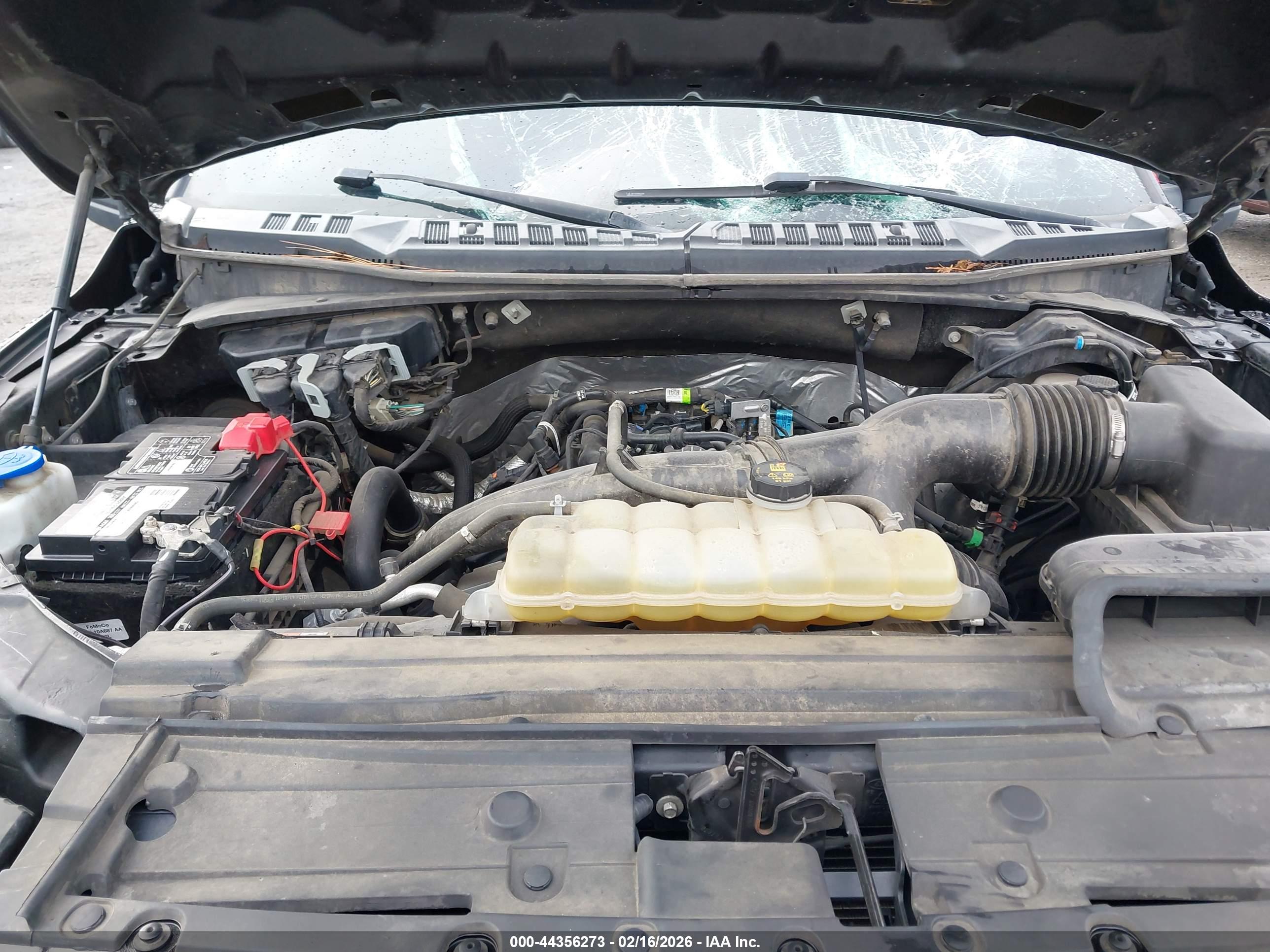 FORD F-150 image 10