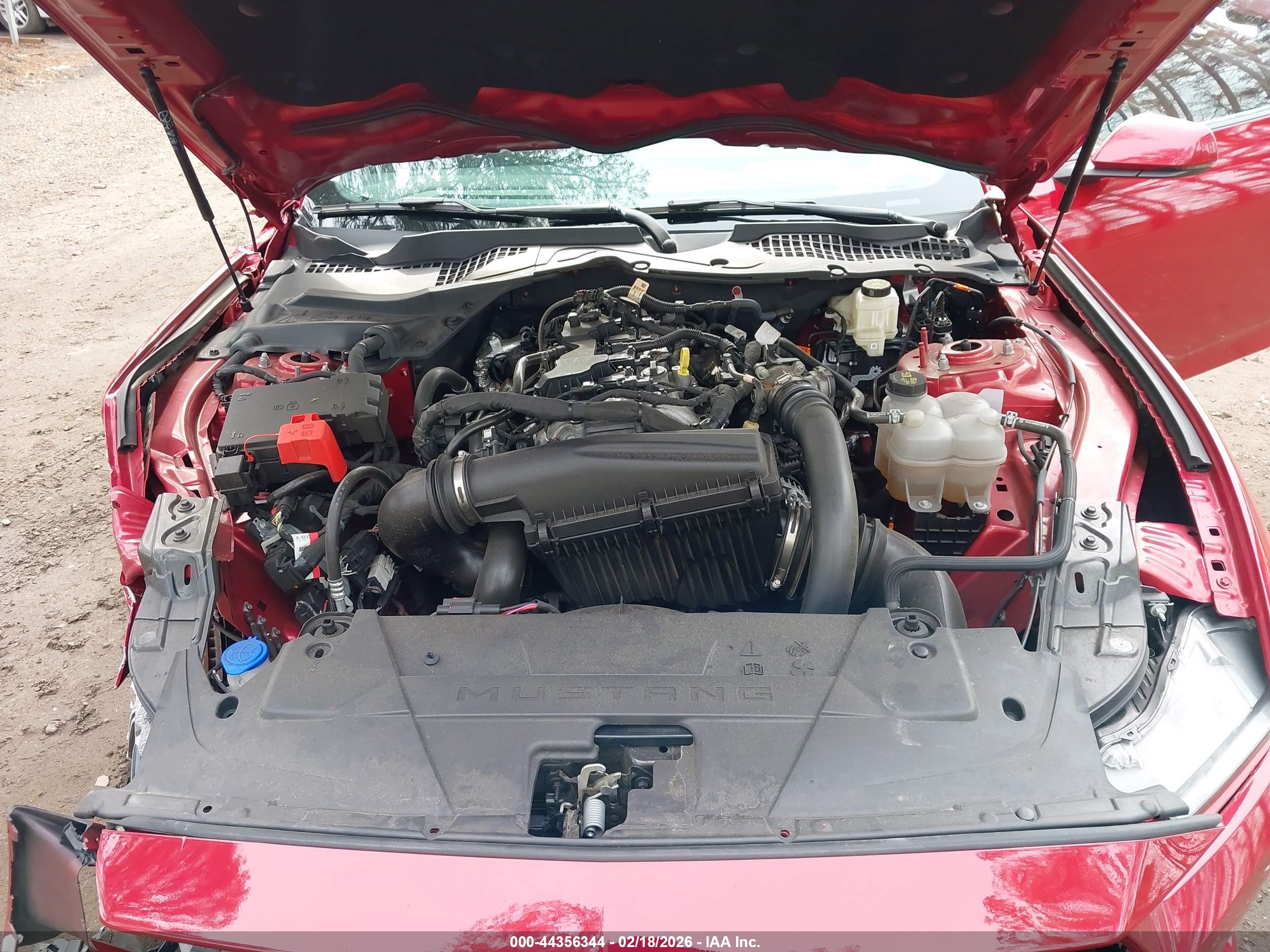 FORD MUSTANG image 10