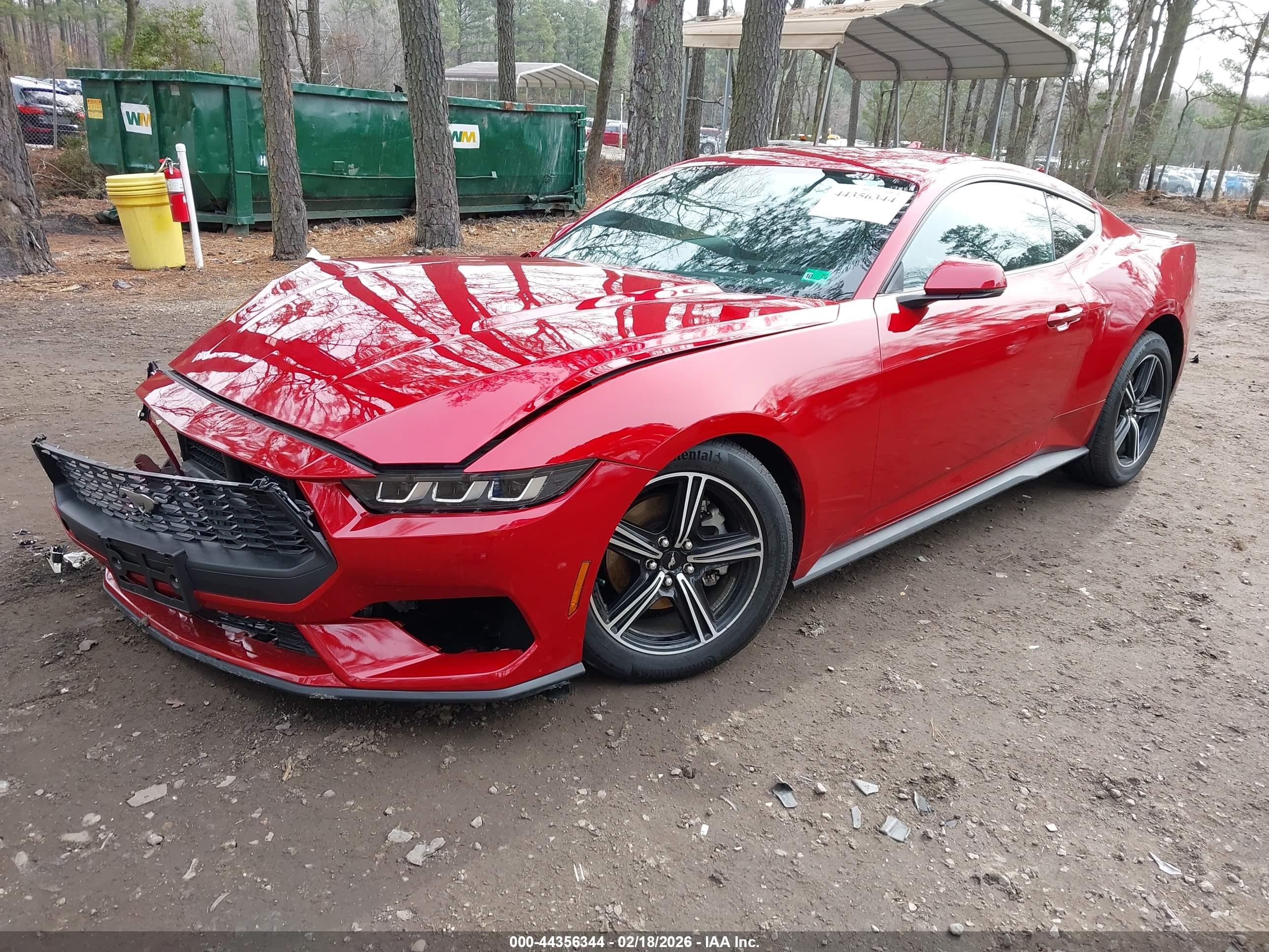 FORD MUSTANG image 2