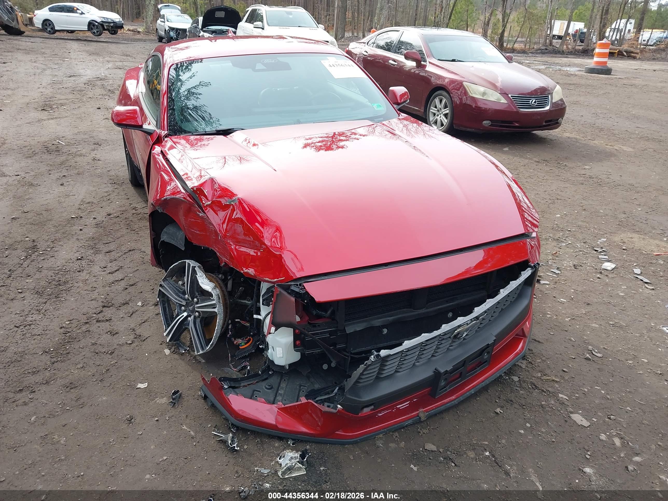 FORD MUSTANG image 6
