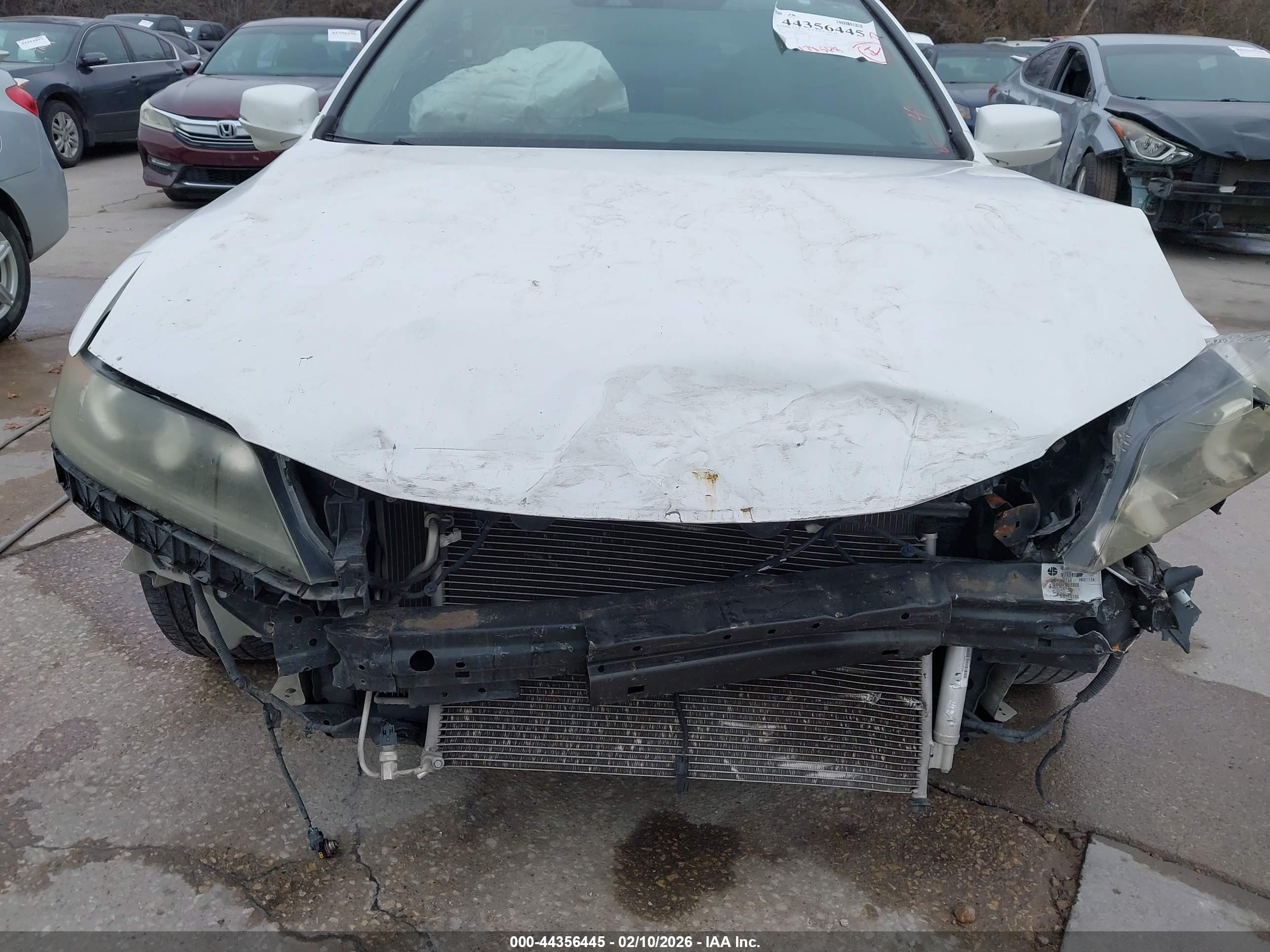 HONDA ACCORD image 6