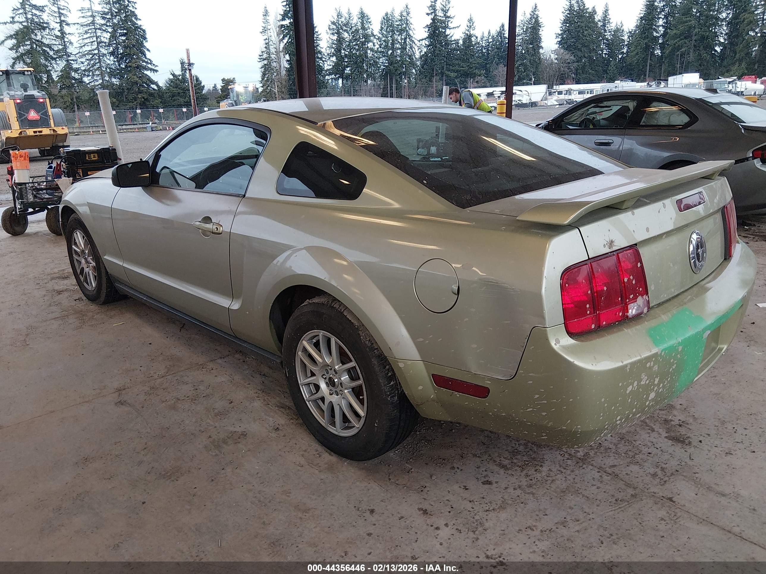 FORD MUSTANG image 3