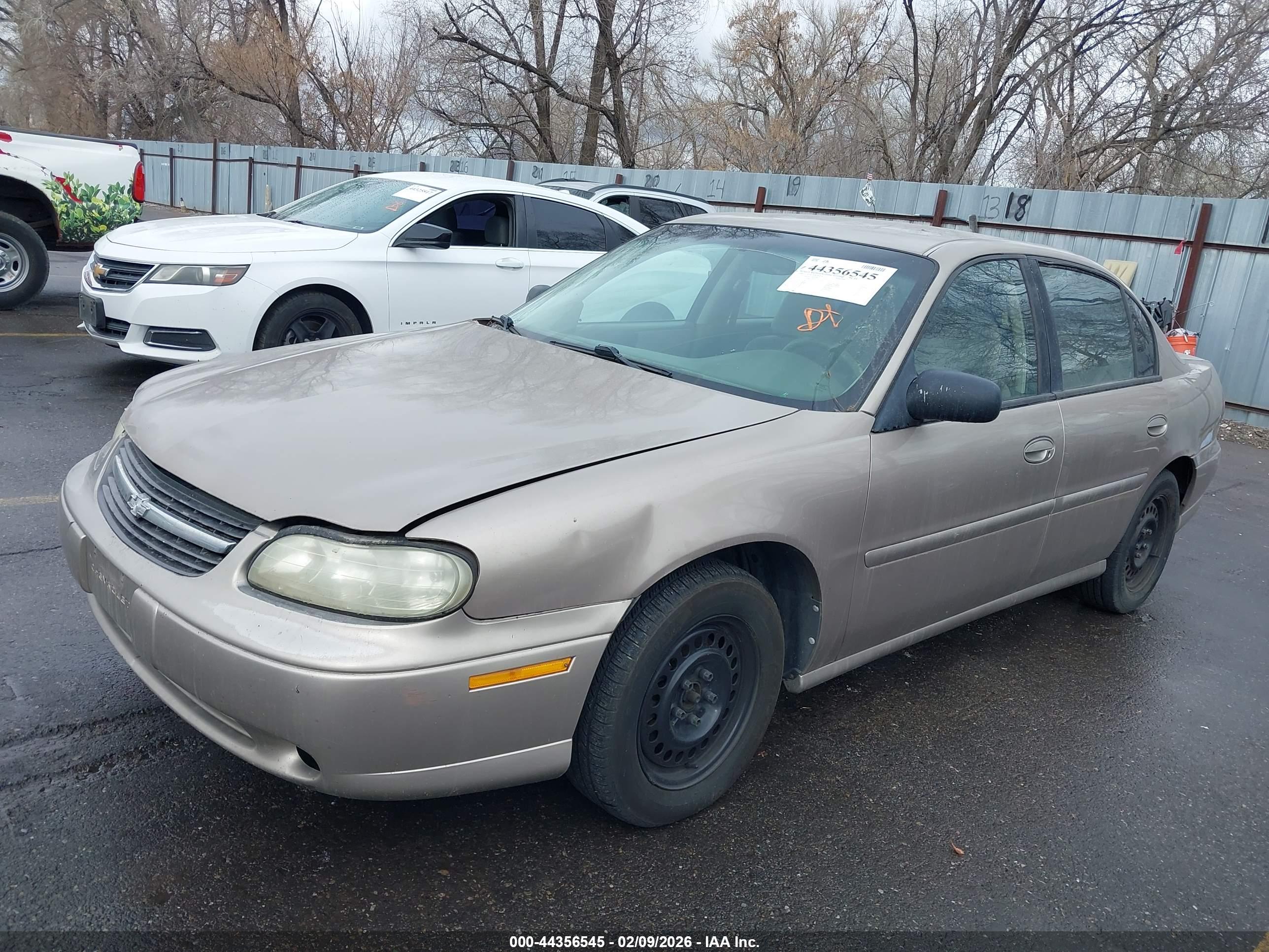 CHEVROLET MALIBU image 2
