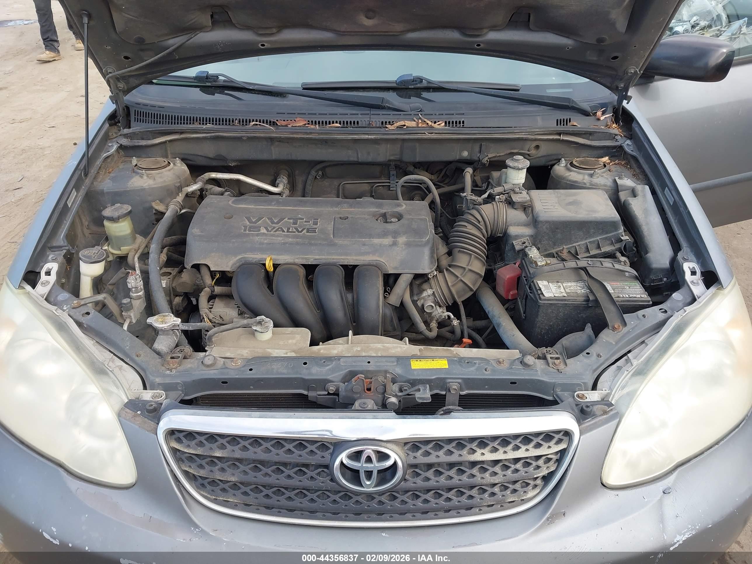TOYOTA COROLLA image 10