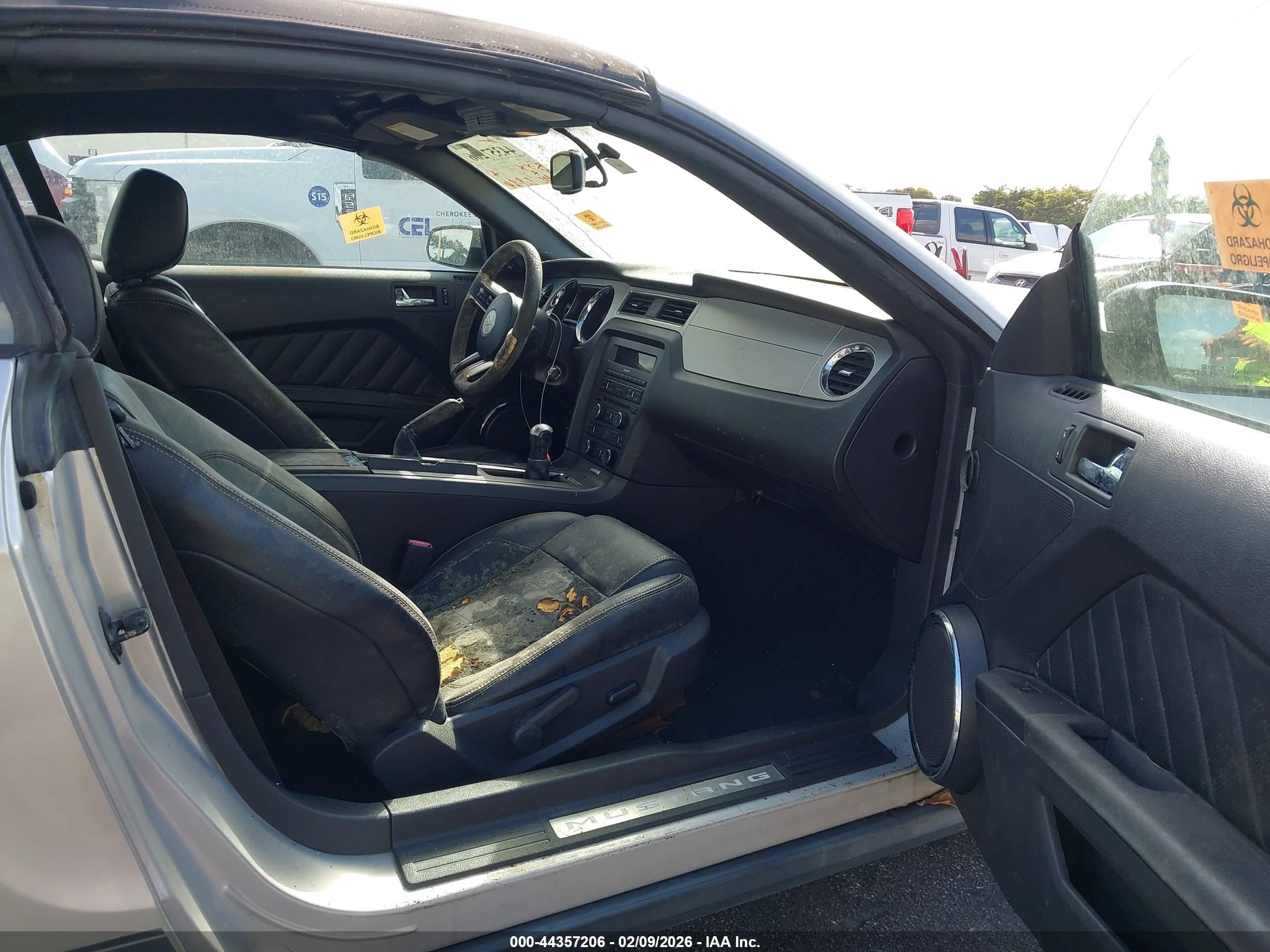 FORD MUSTANG image 5