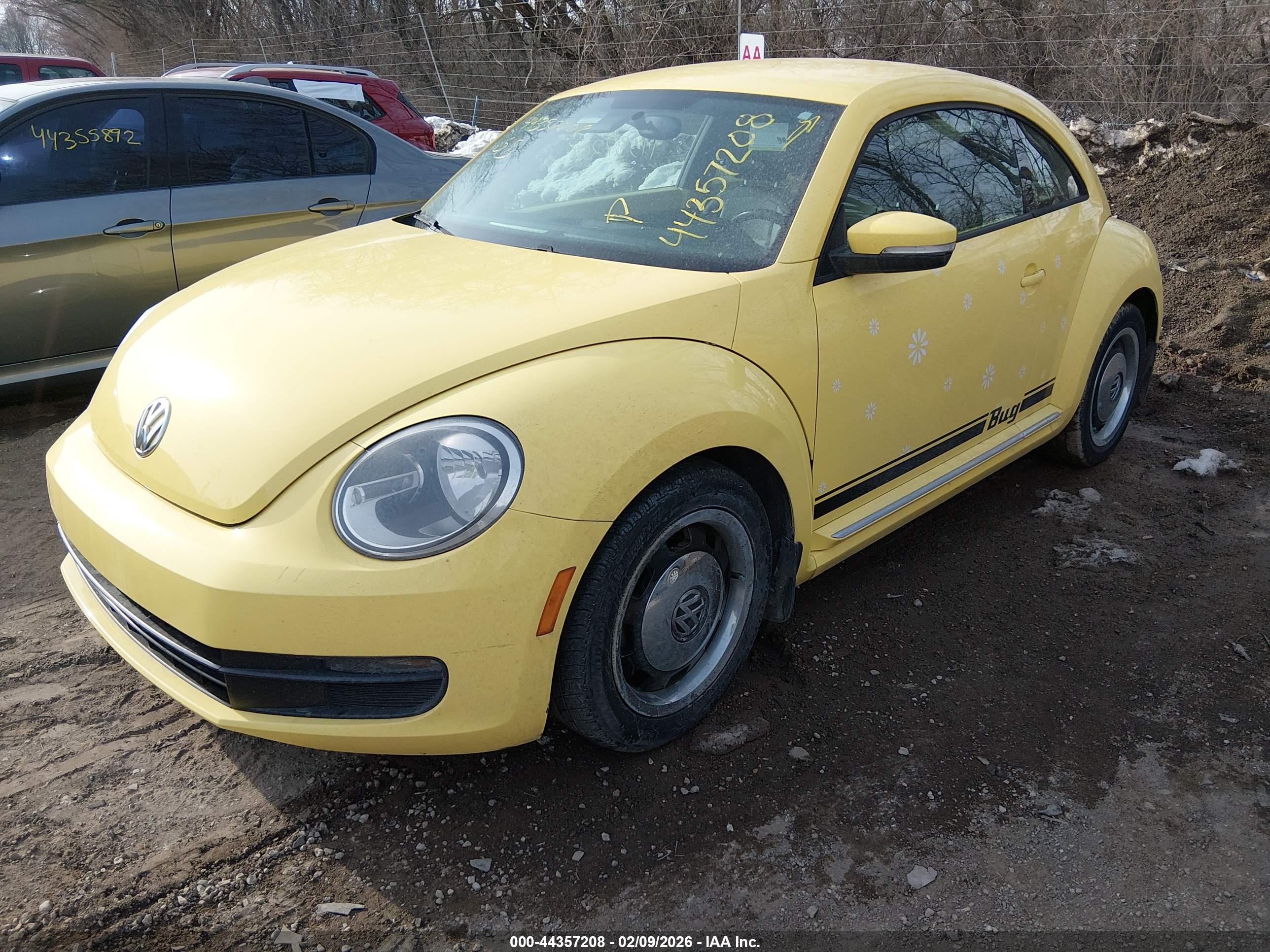 VOLKSWAGEN BEETLE image 2
