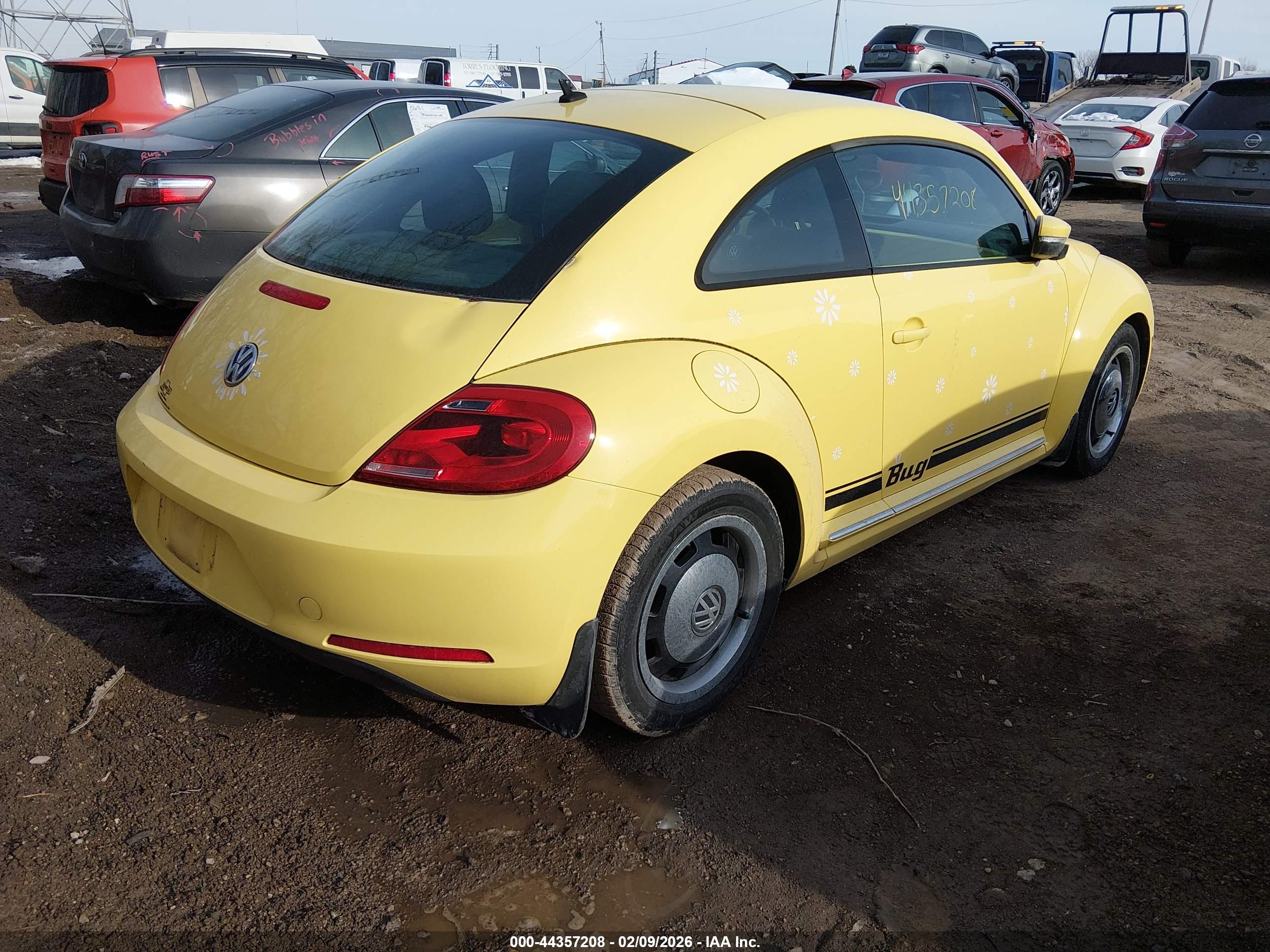 VOLKSWAGEN BEETLE image 4