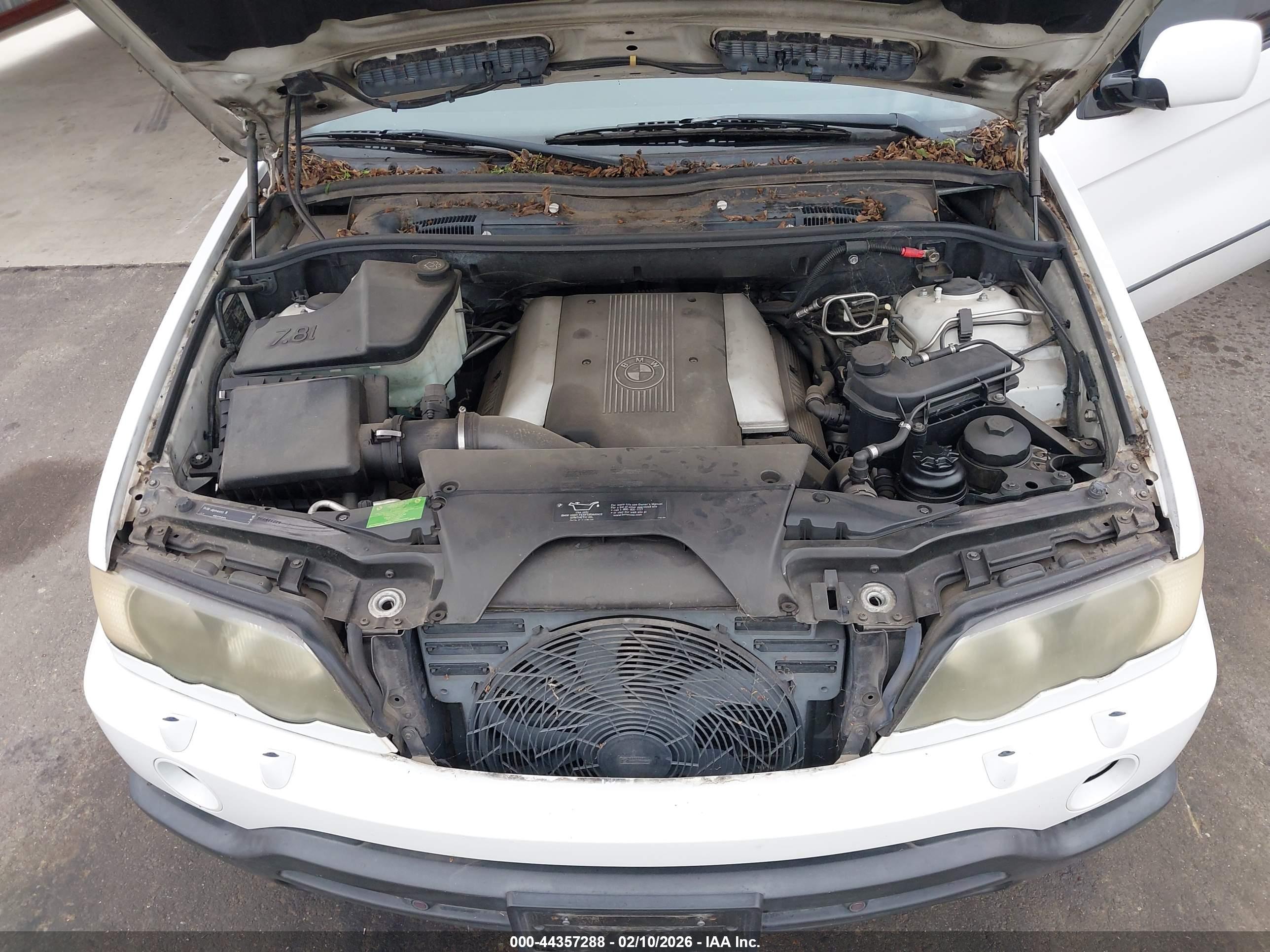 BMW X5 image 10