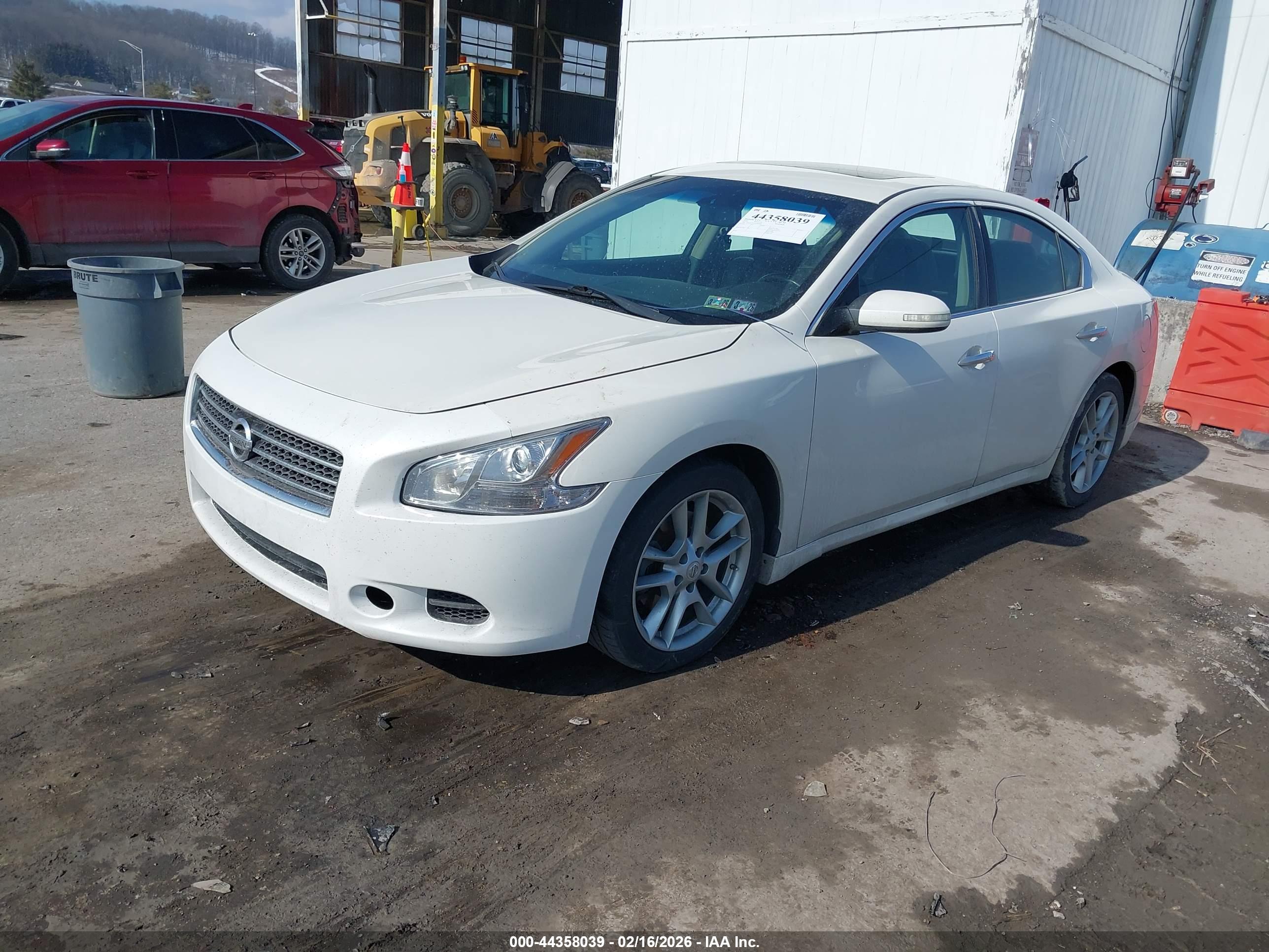 NISSAN MAXIMA image 2