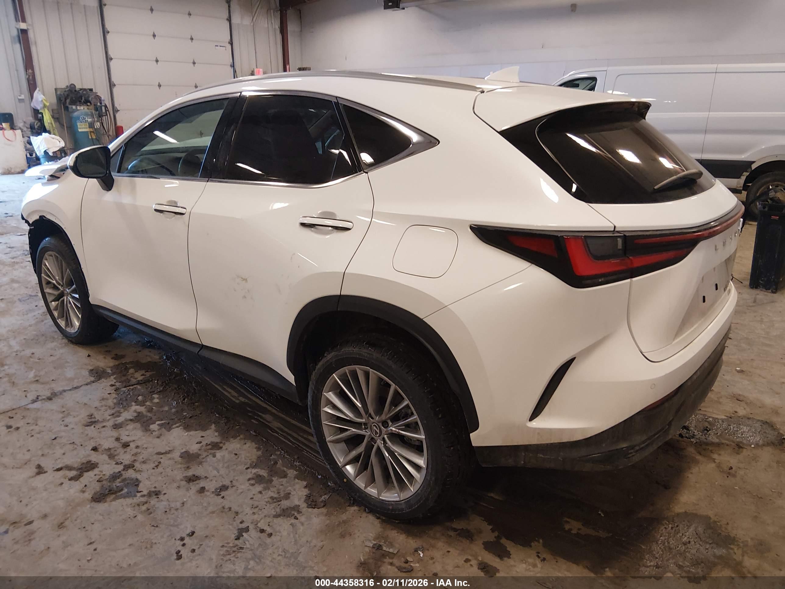 LEXUS NX image 3