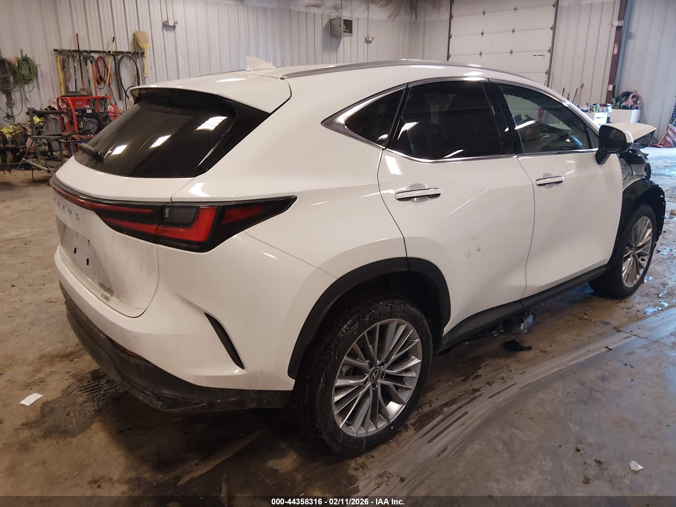 LEXUS NX image 4